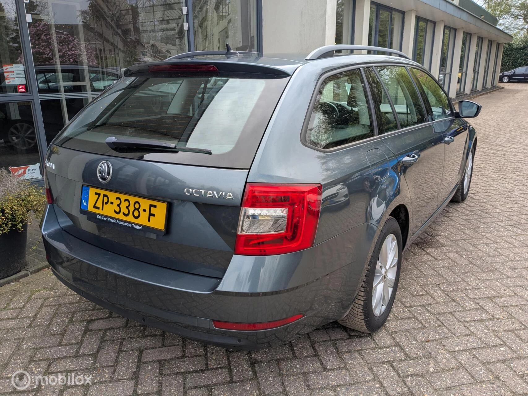 Hoofdafbeelding Škoda Octavia