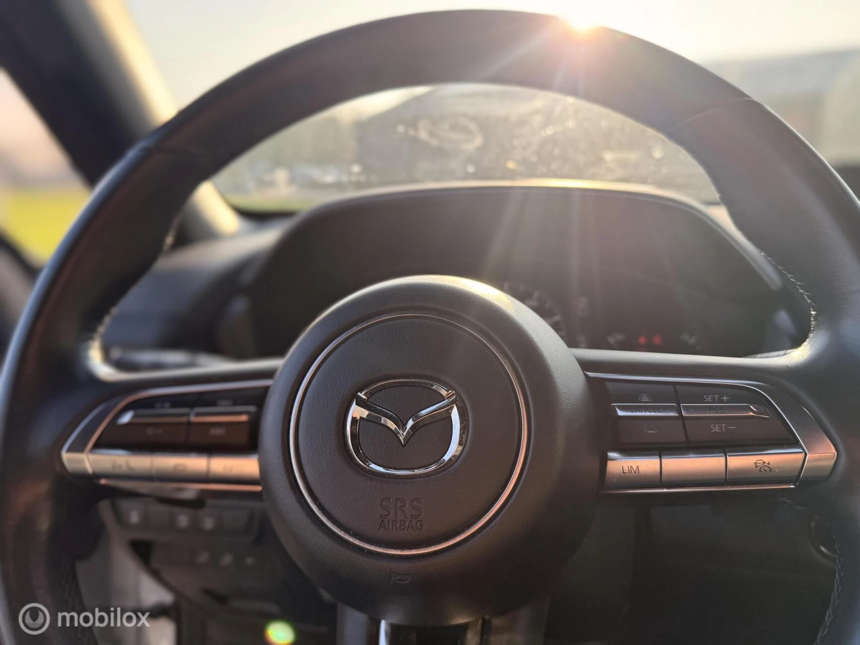 Hoofdafbeelding Mazda MX-30