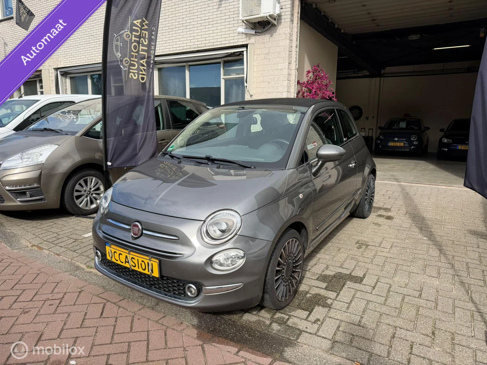 Hoofdafbeelding Fiat 500