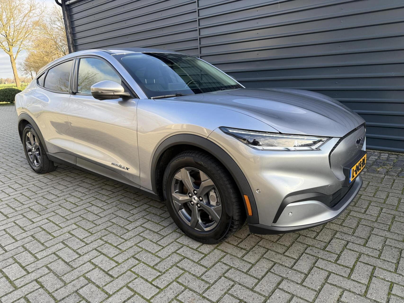 Hoofdafbeelding Ford Mustang Mach-E