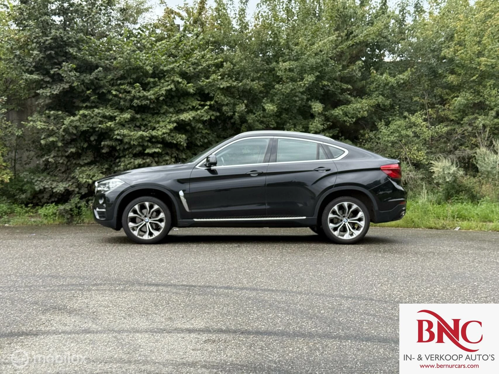 Hoofdafbeelding BMW X6