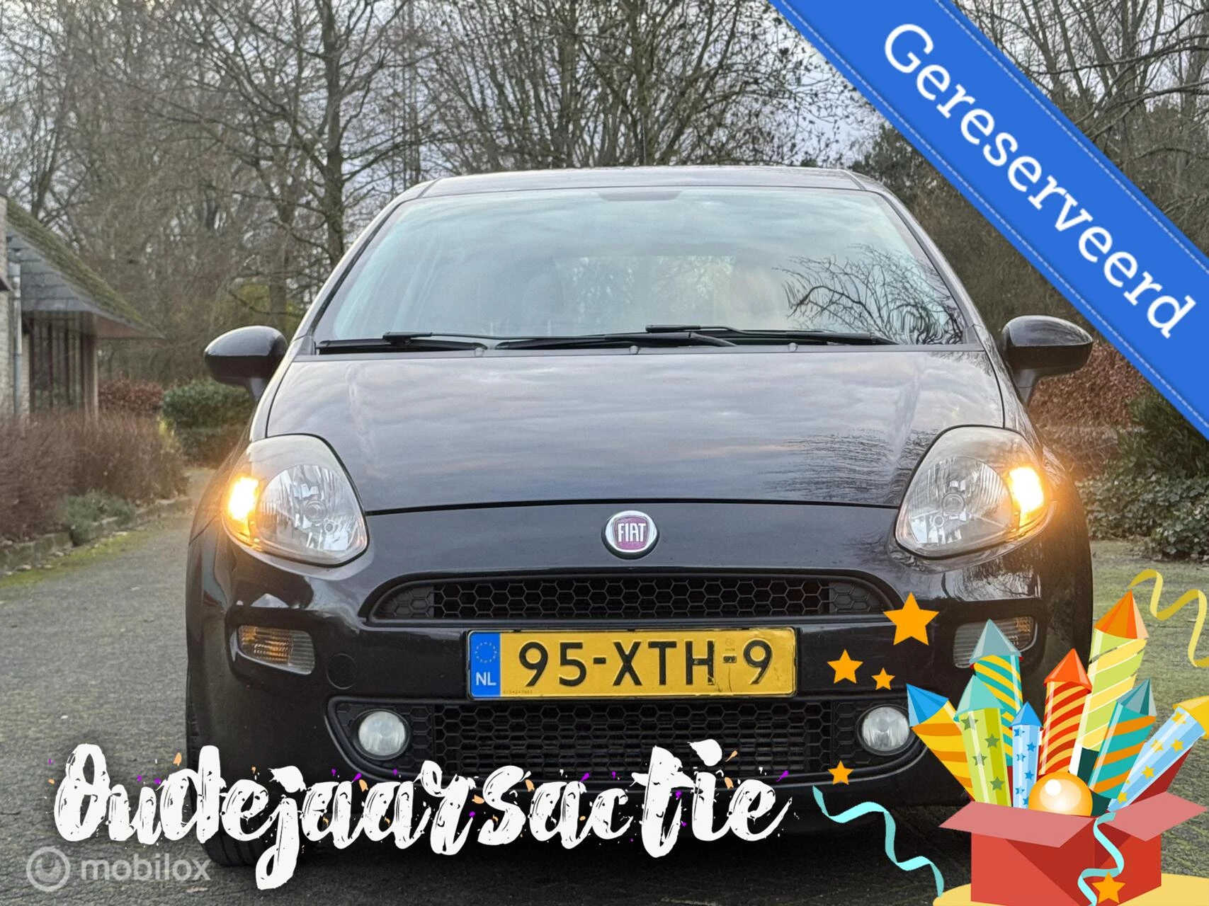 Hoofdafbeelding Fiat Punto