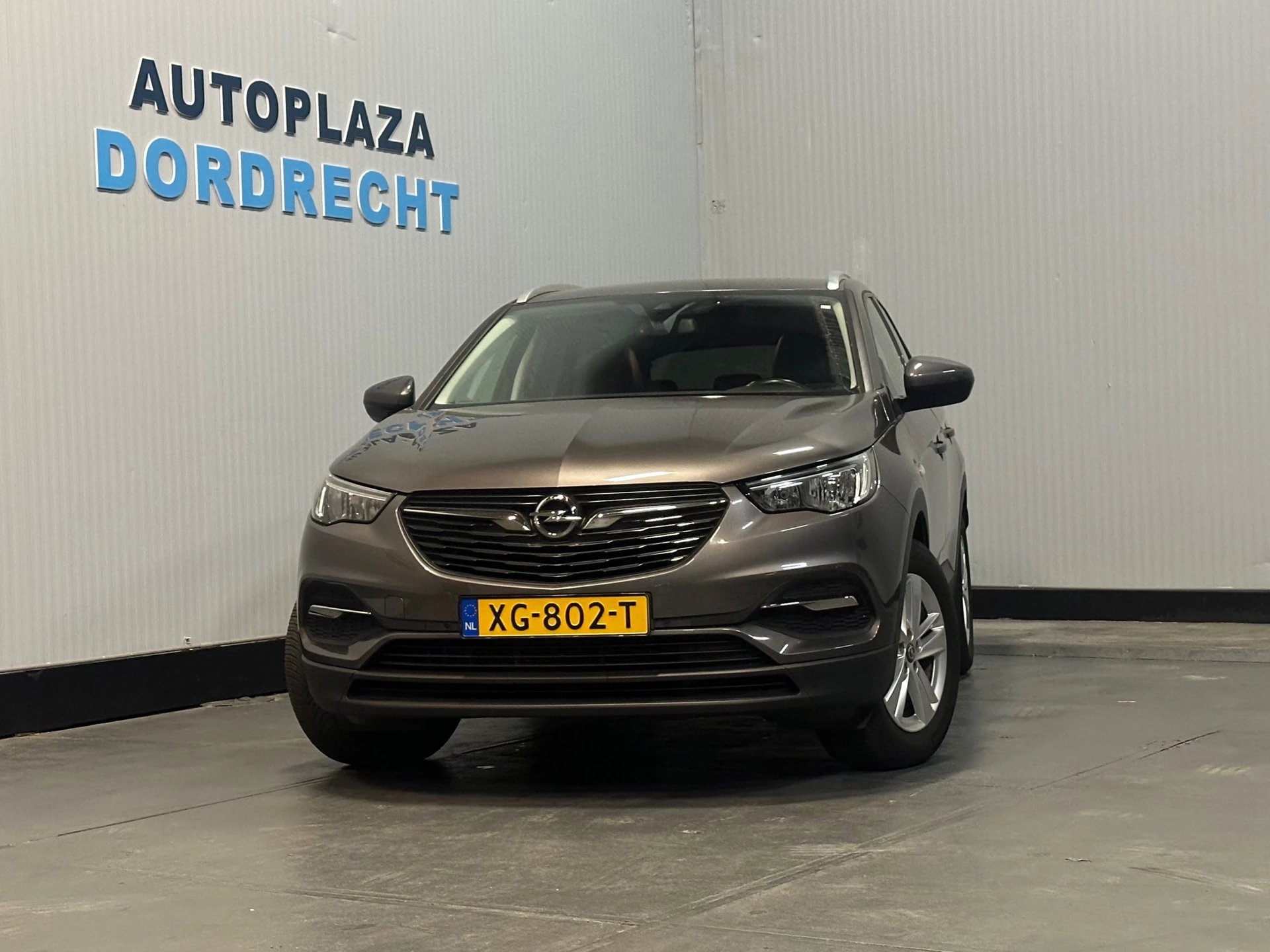 Hoofdafbeelding Opel Grandland X