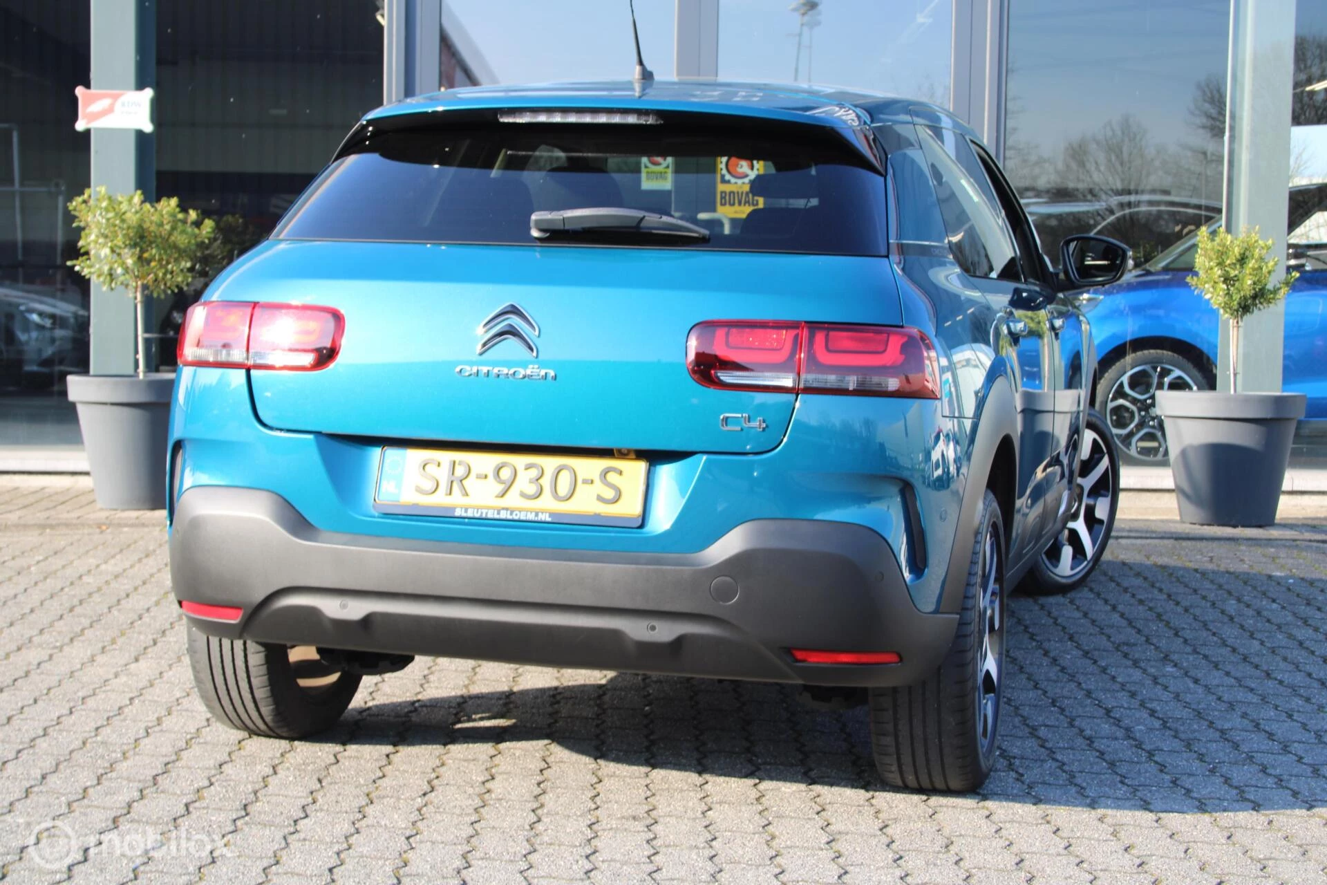 Hoofdafbeelding Citroën C4 Cactus
