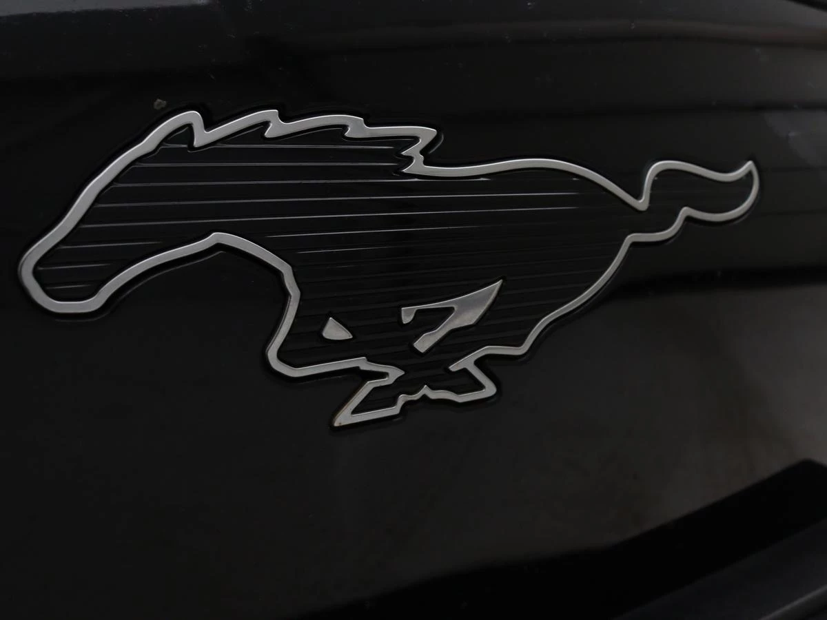 Hoofdafbeelding Ford Mustang Mach-E