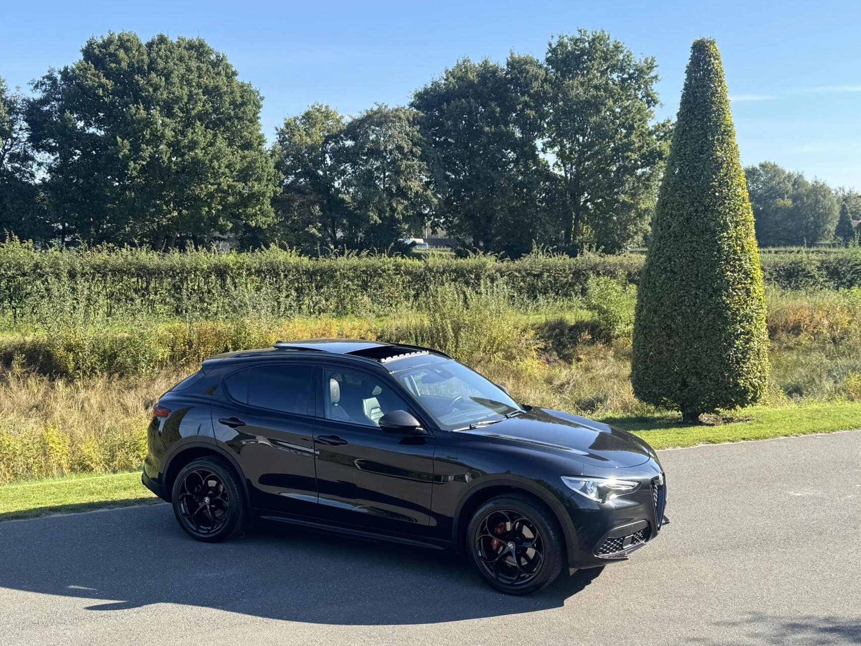 Hoofdafbeelding Alfa Romeo Stelvio