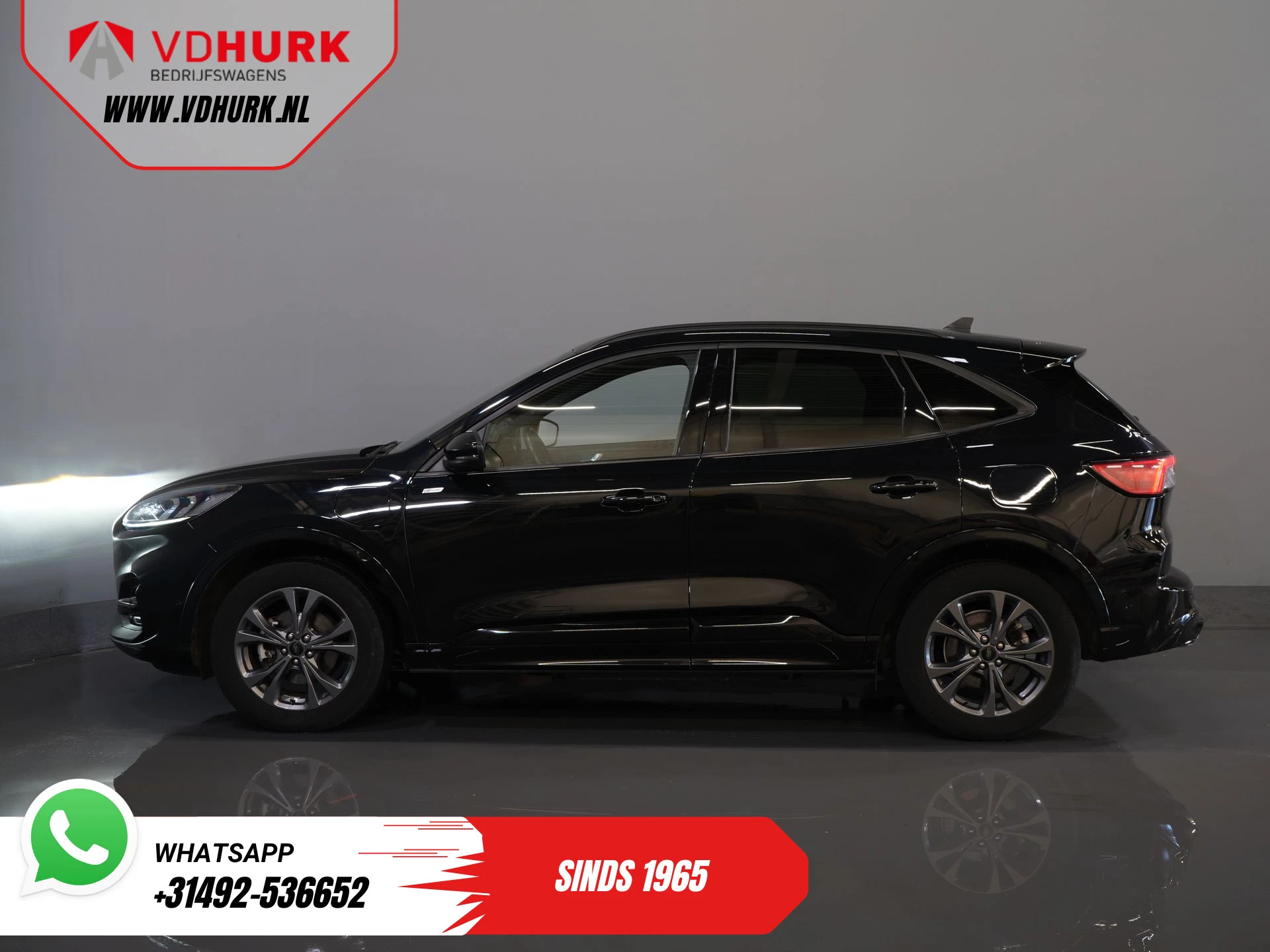 Hoofdafbeelding Ford Kuga