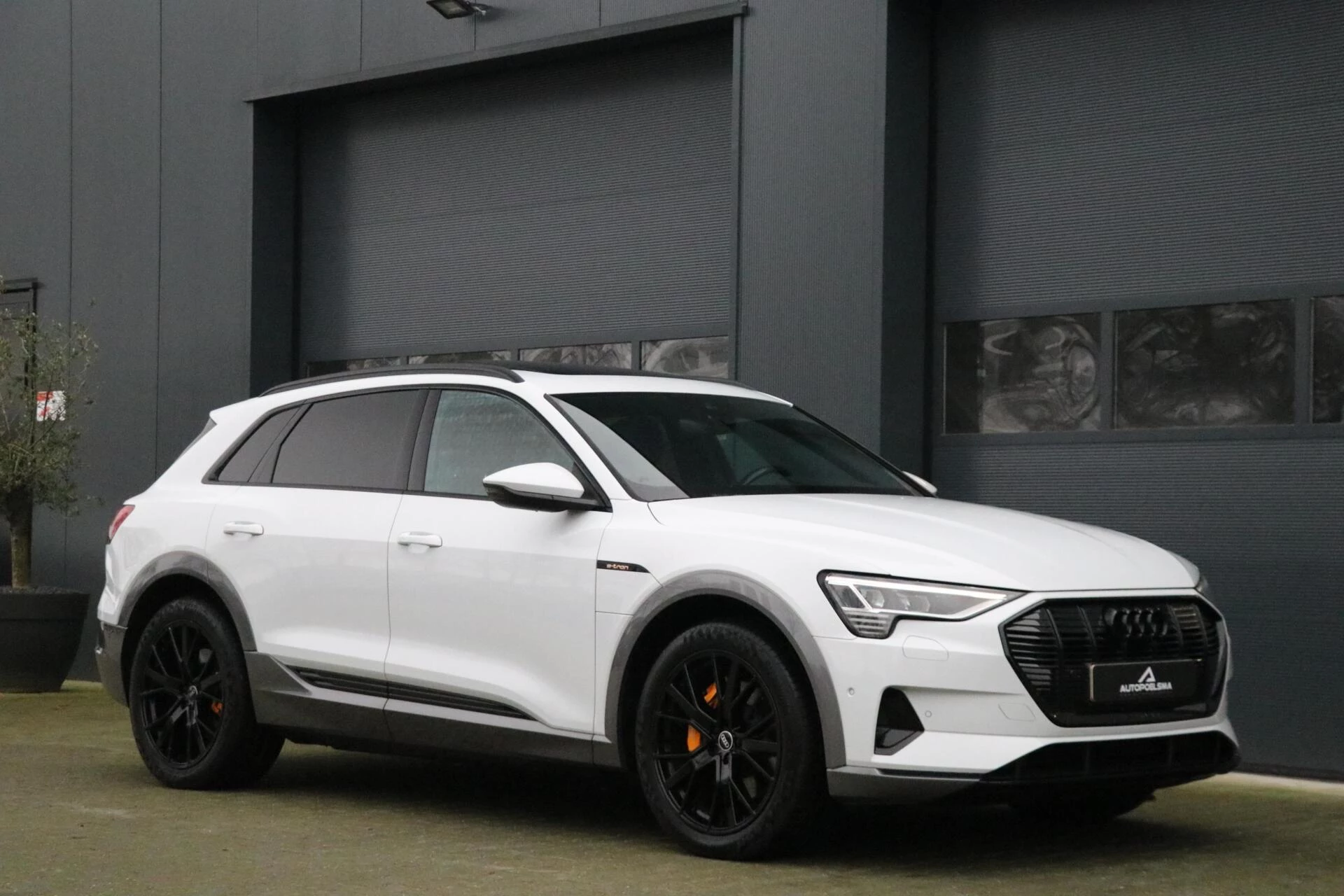 Hoofdafbeelding Audi e-tron