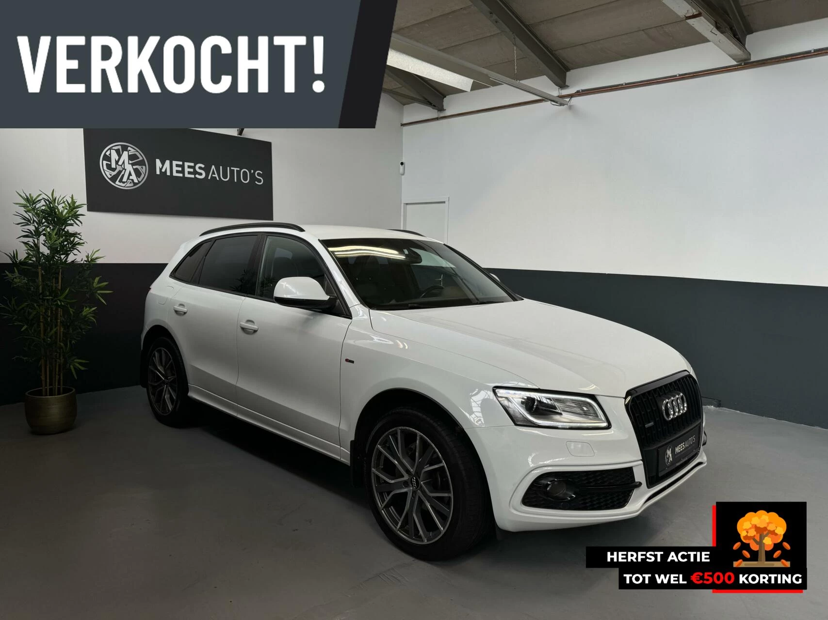 Hoofdafbeelding Audi Q5