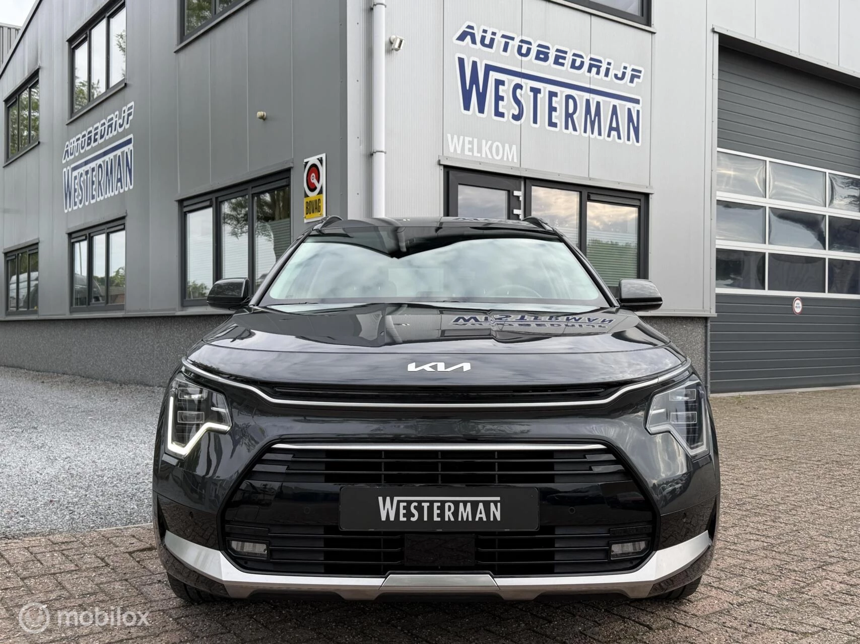 Hoofdafbeelding Kia Niro
