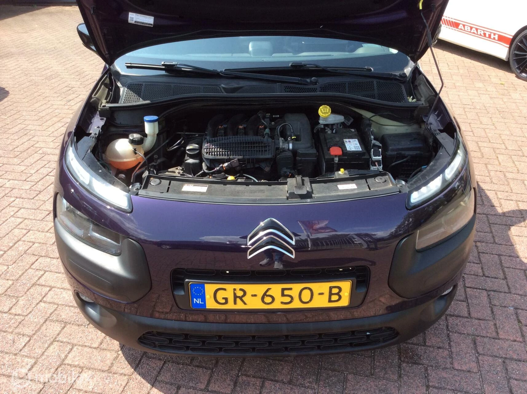 Hoofdafbeelding Citroën C4 Cactus