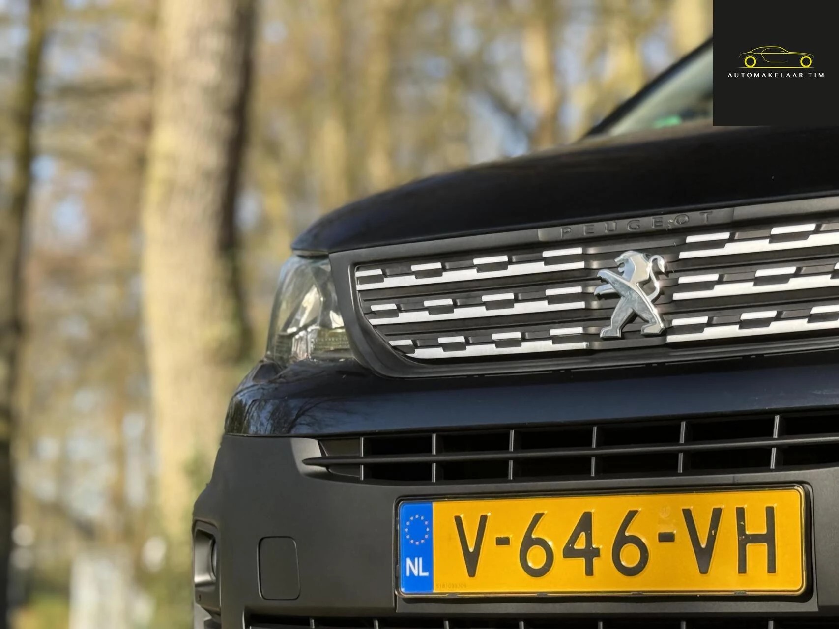 Hoofdafbeelding Peugeot Partner