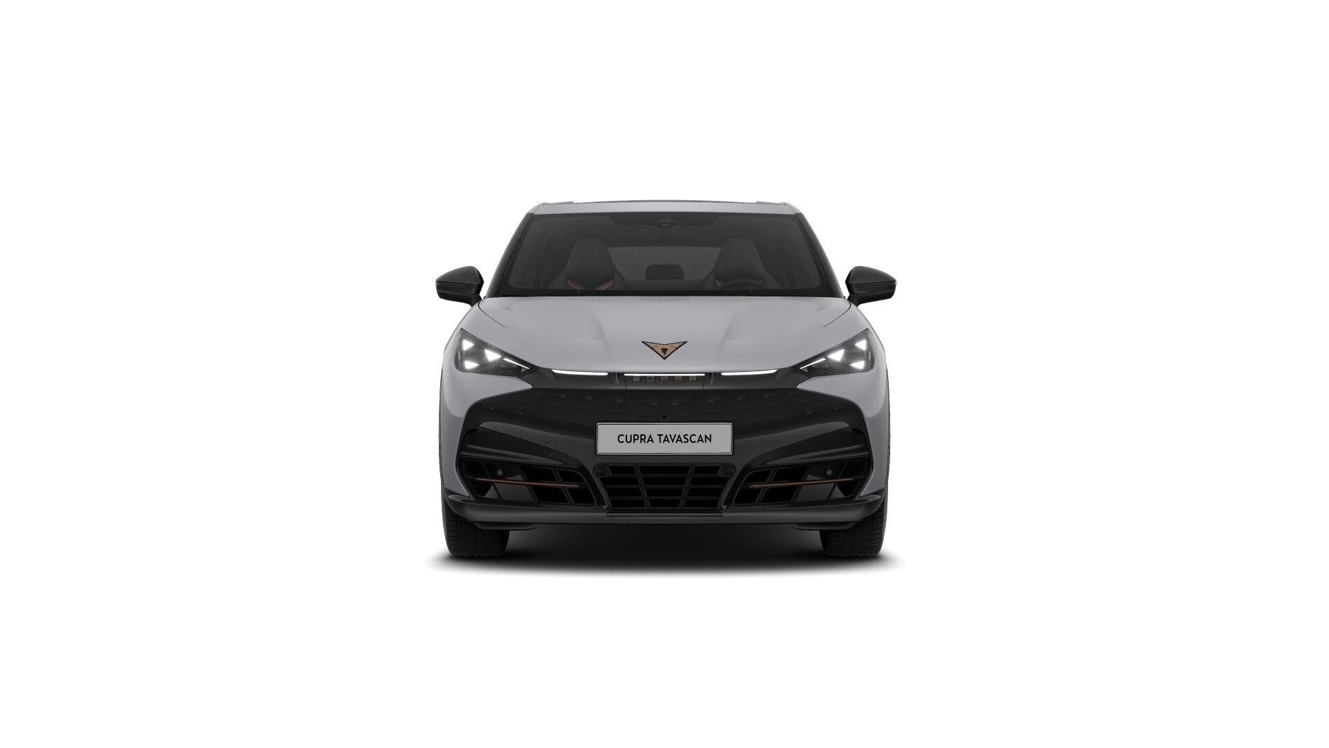 Hoofdafbeelding CUPRA Tavascan