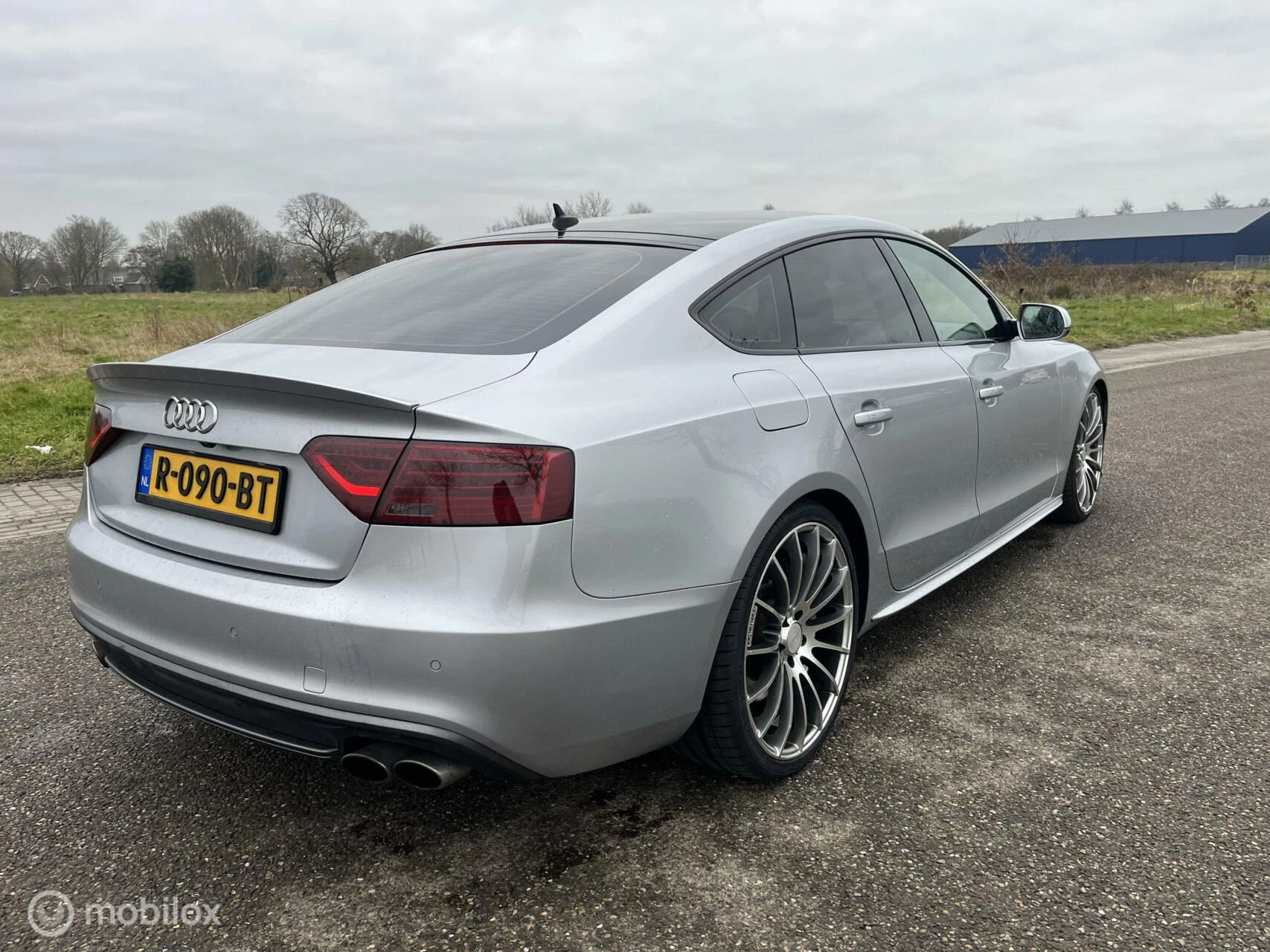 Hoofdafbeelding Audi S5