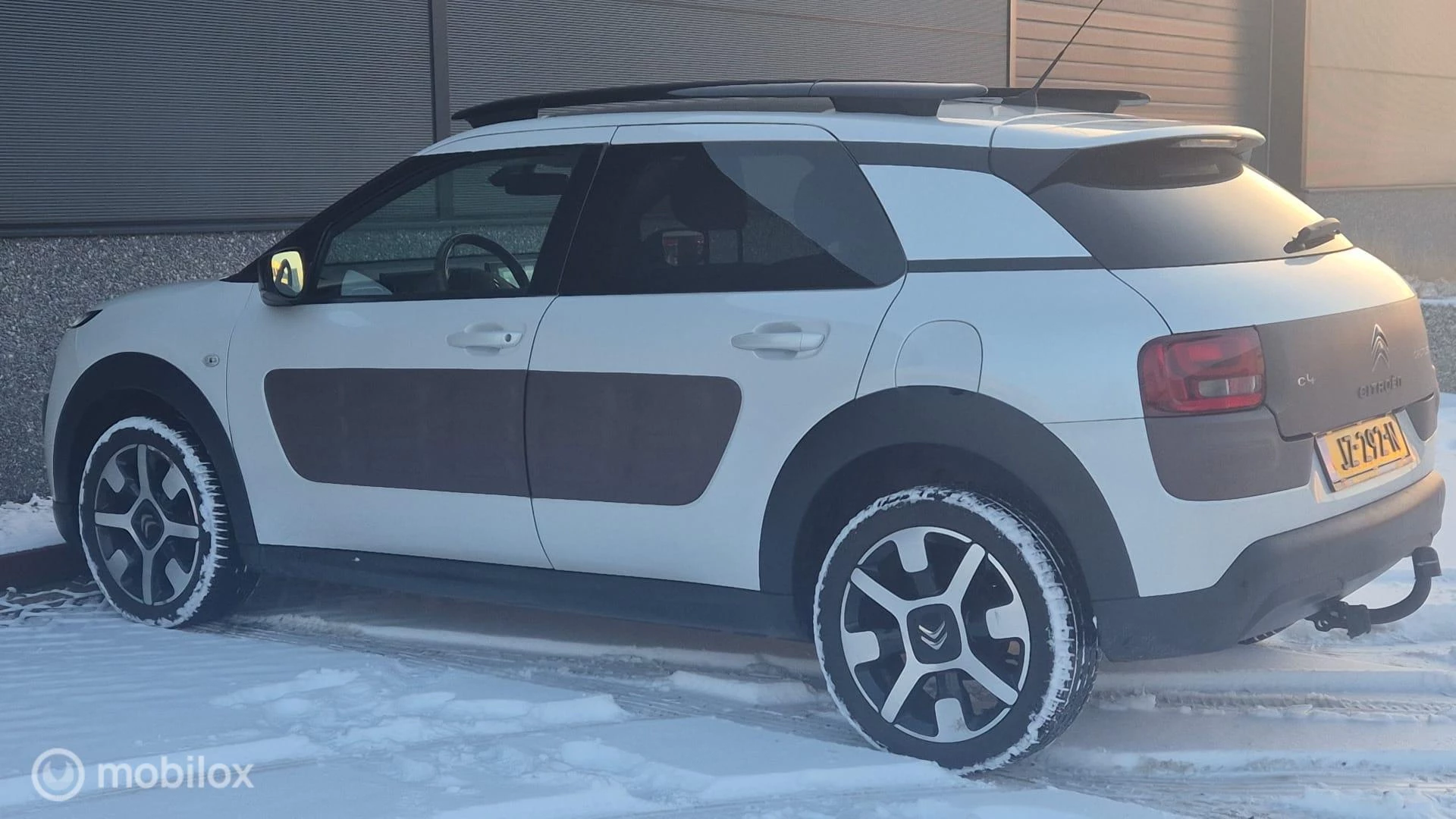 Hoofdafbeelding Citroën C4 Cactus