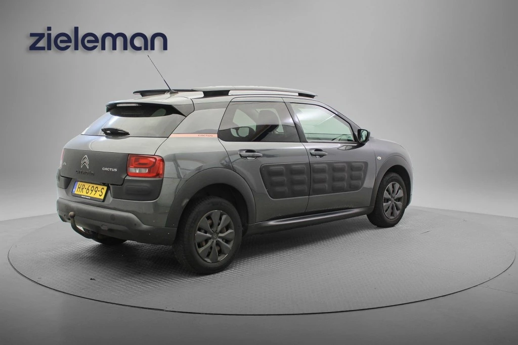 Hoofdafbeelding Citroën C4 Cactus