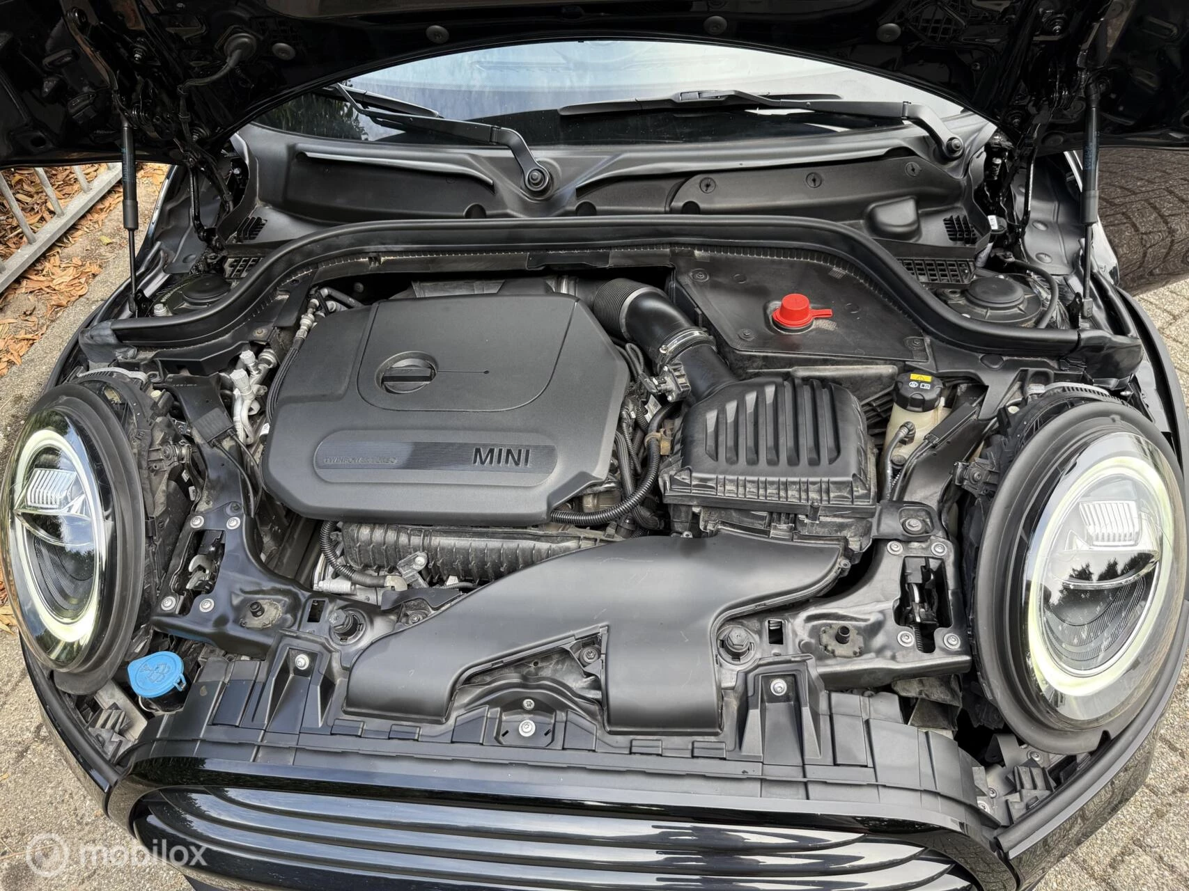 Hoofdafbeelding MINI Cooper