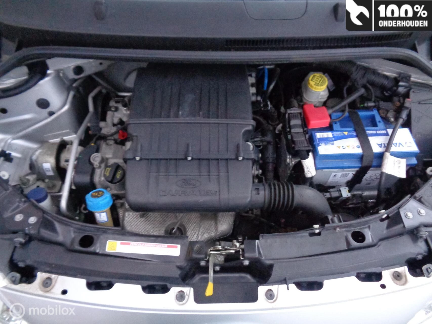 Hoofdafbeelding Ford Ka