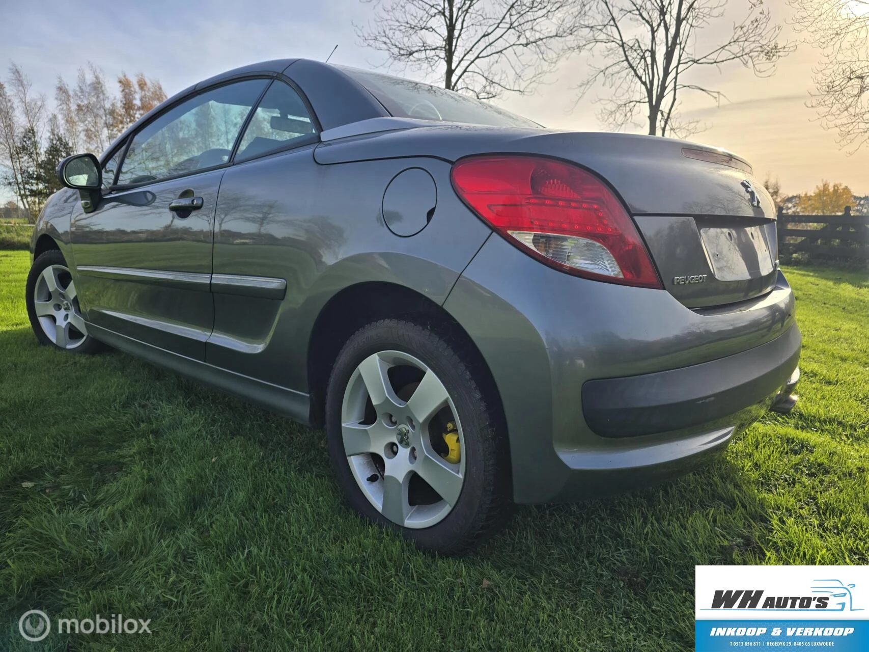 Hoofdafbeelding Peugeot 207