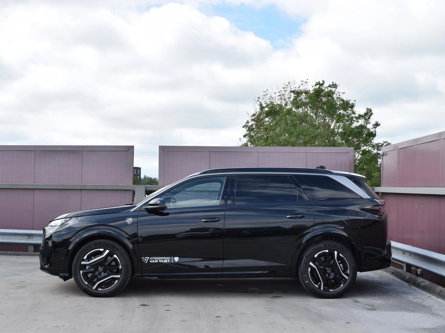 Hoofdafbeelding Peugeot e-5008