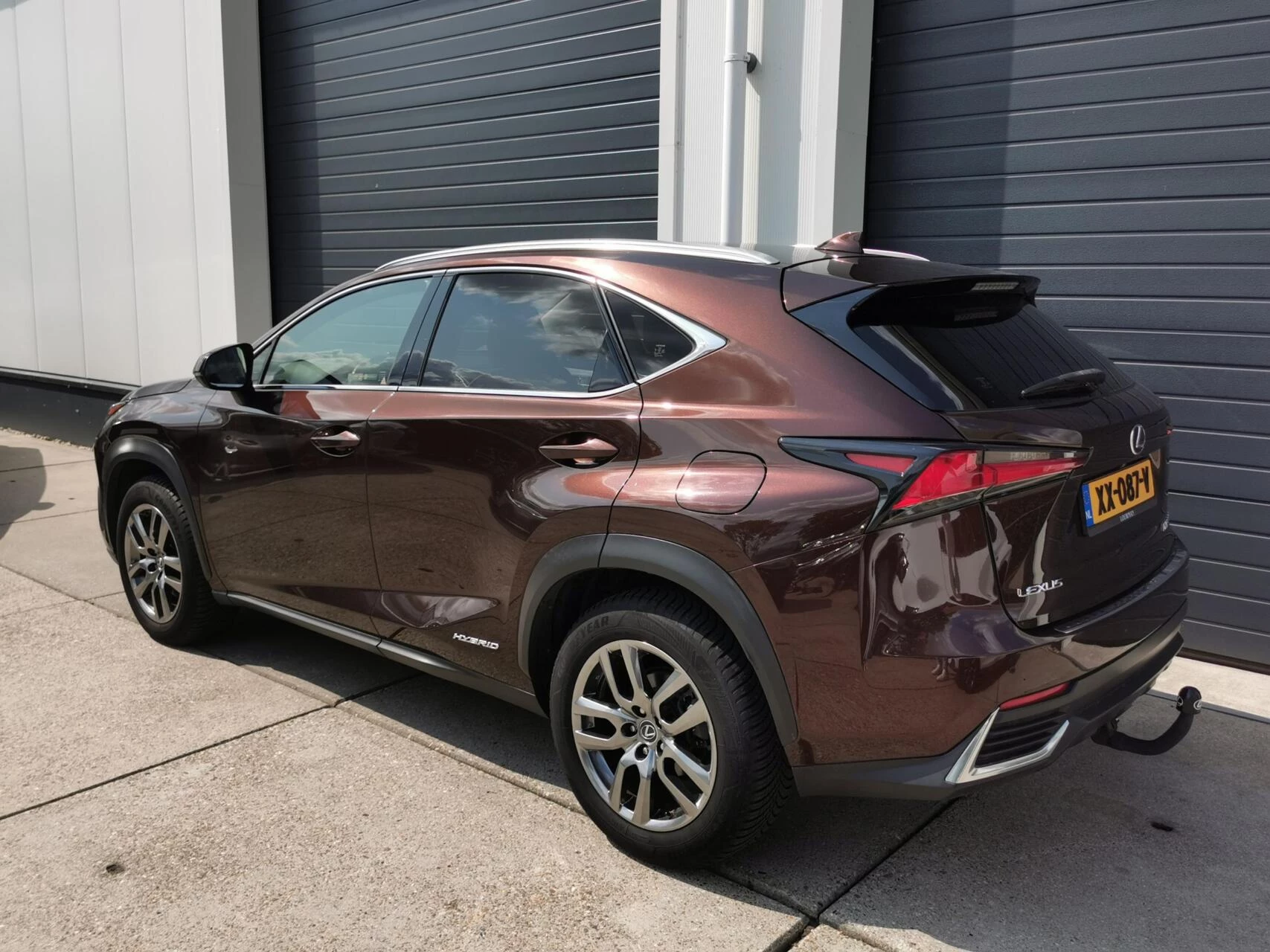 Hoofdafbeelding Lexus NX