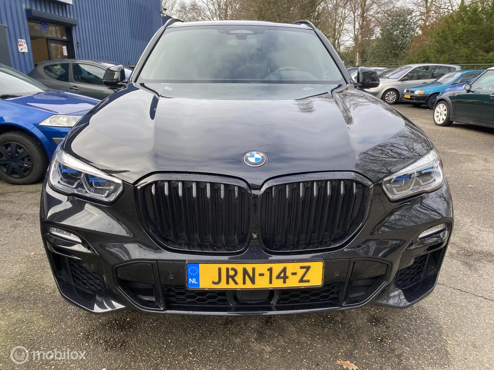Hoofdafbeelding BMW X5