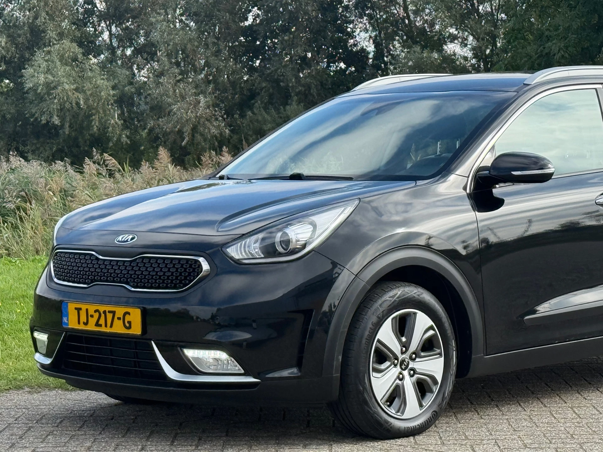Hoofdafbeelding Kia Niro