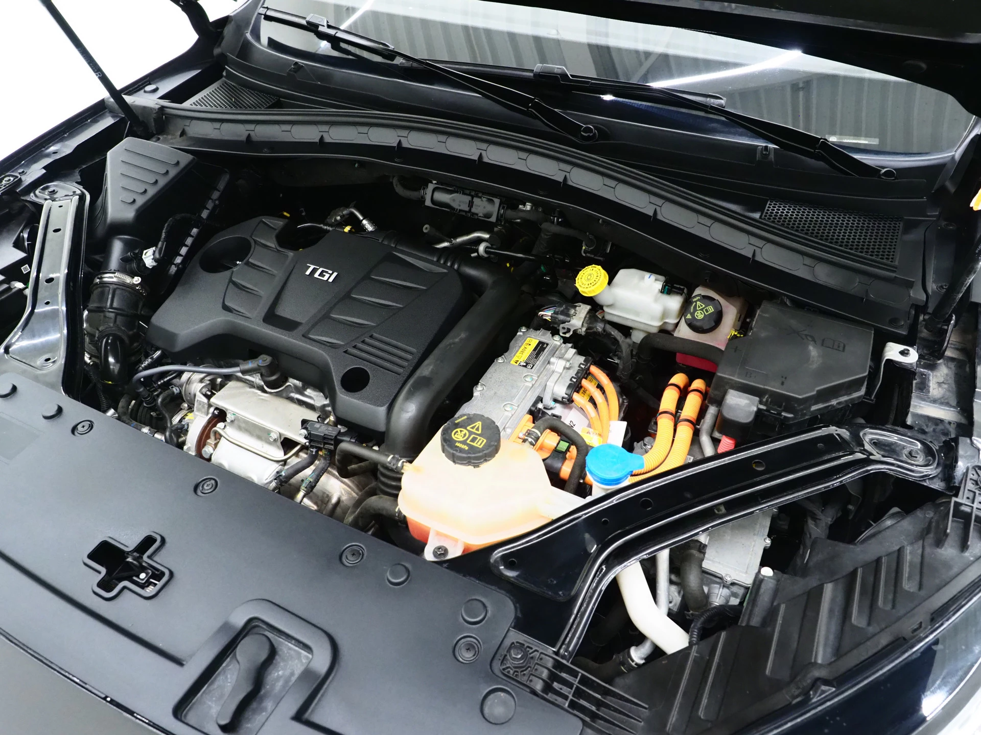 Hoofdafbeelding MG EHS