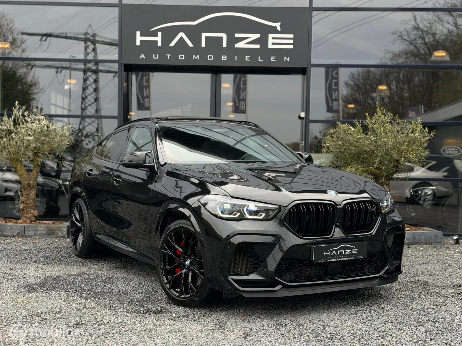 Hoofdafbeelding BMW X6