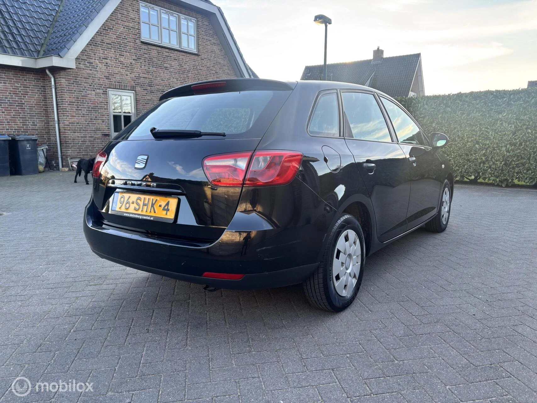 Hoofdafbeelding SEAT Ibiza
