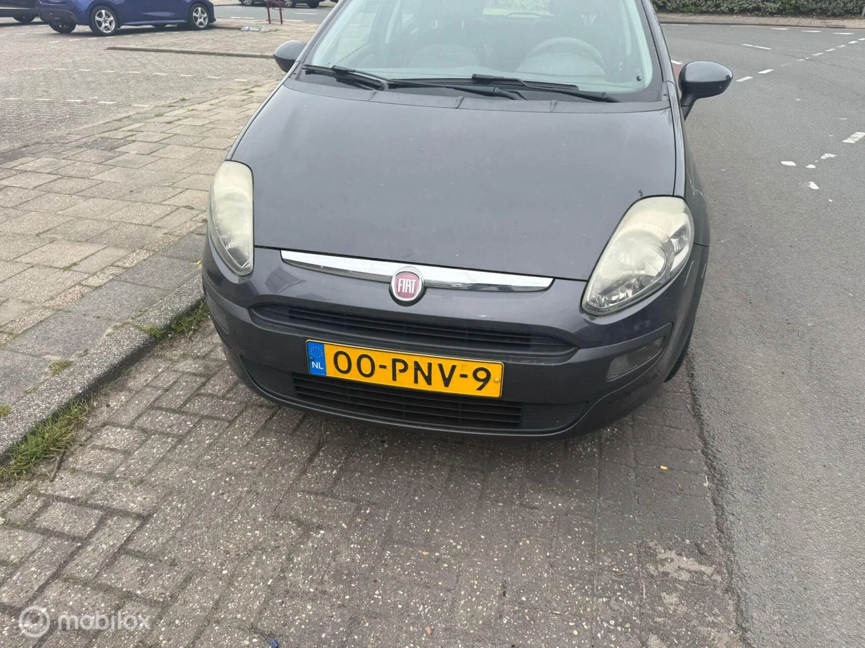Hoofdafbeelding Fiat Punto