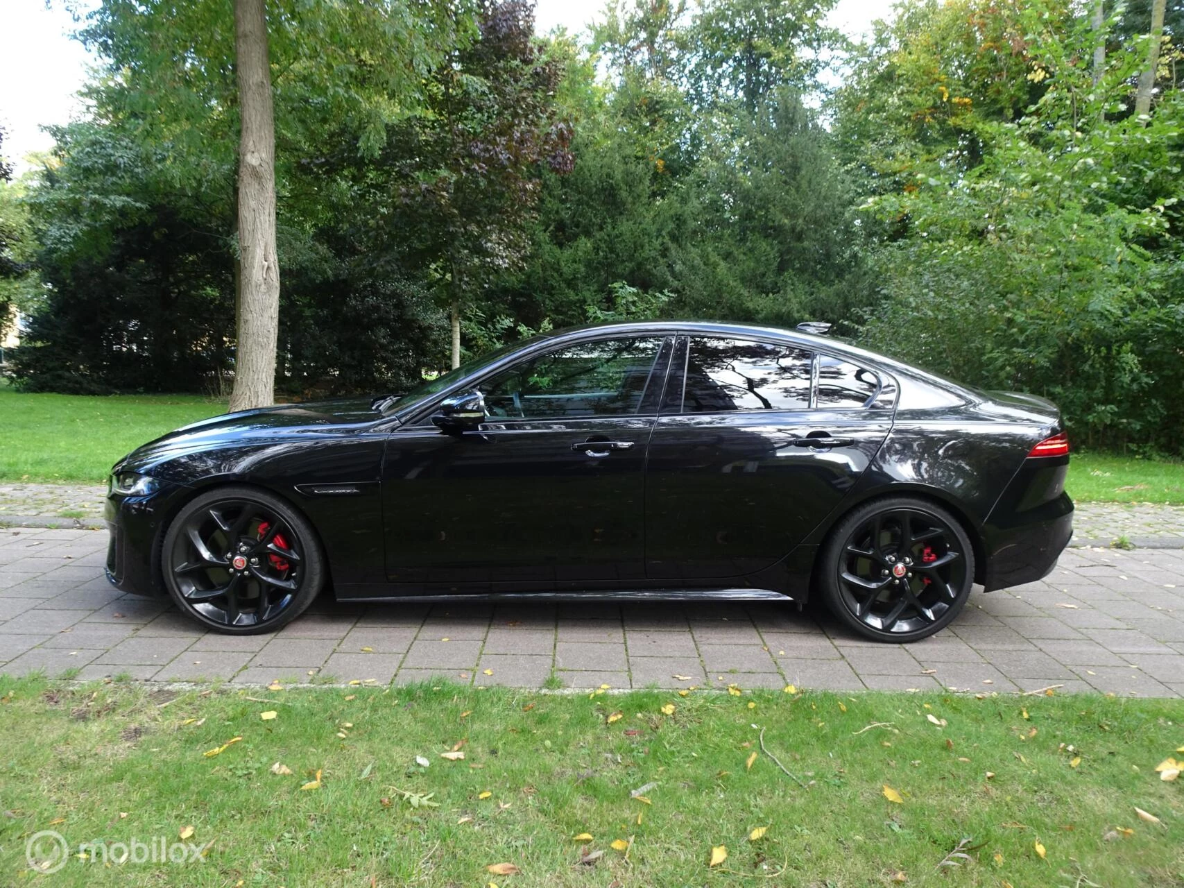 Hoofdafbeelding Jaguar XE