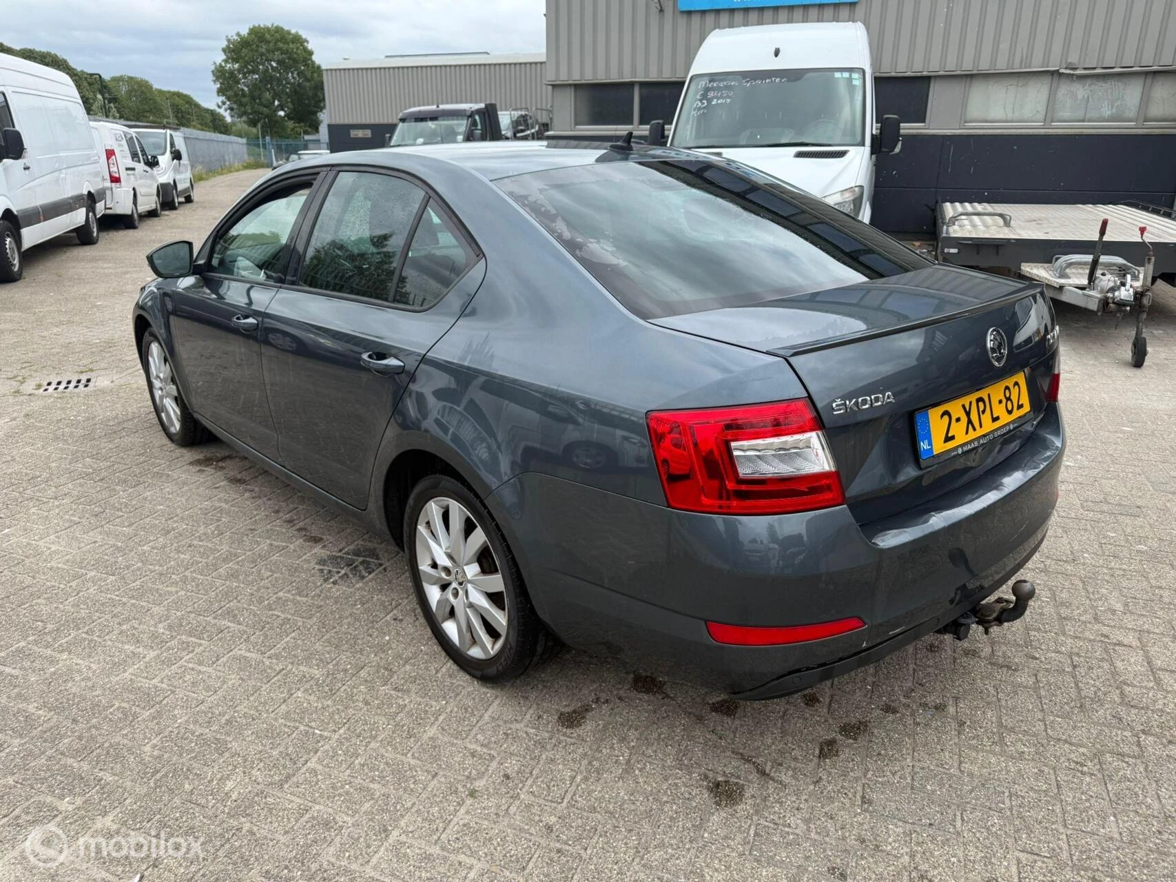 Hoofdafbeelding Škoda Octavia