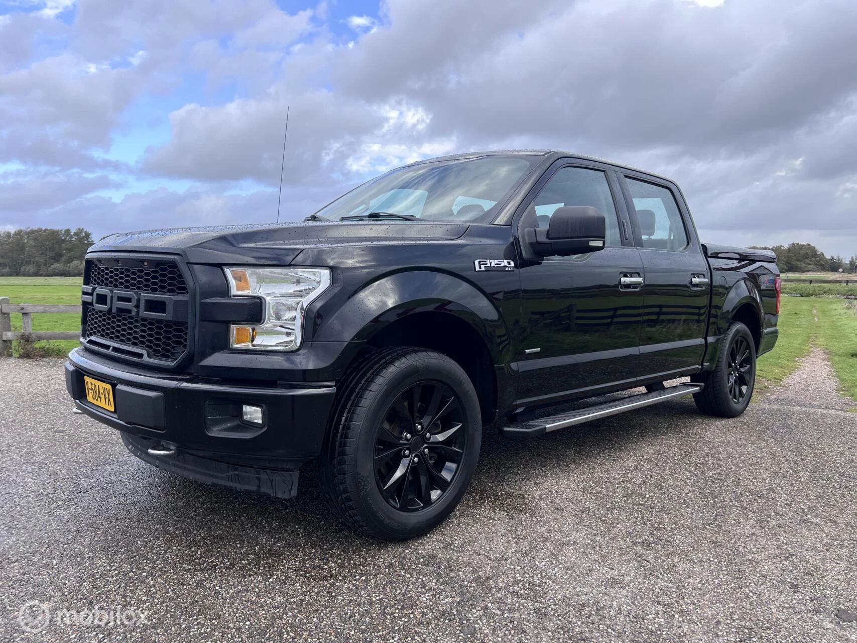 Hoofdafbeelding Ford F-150