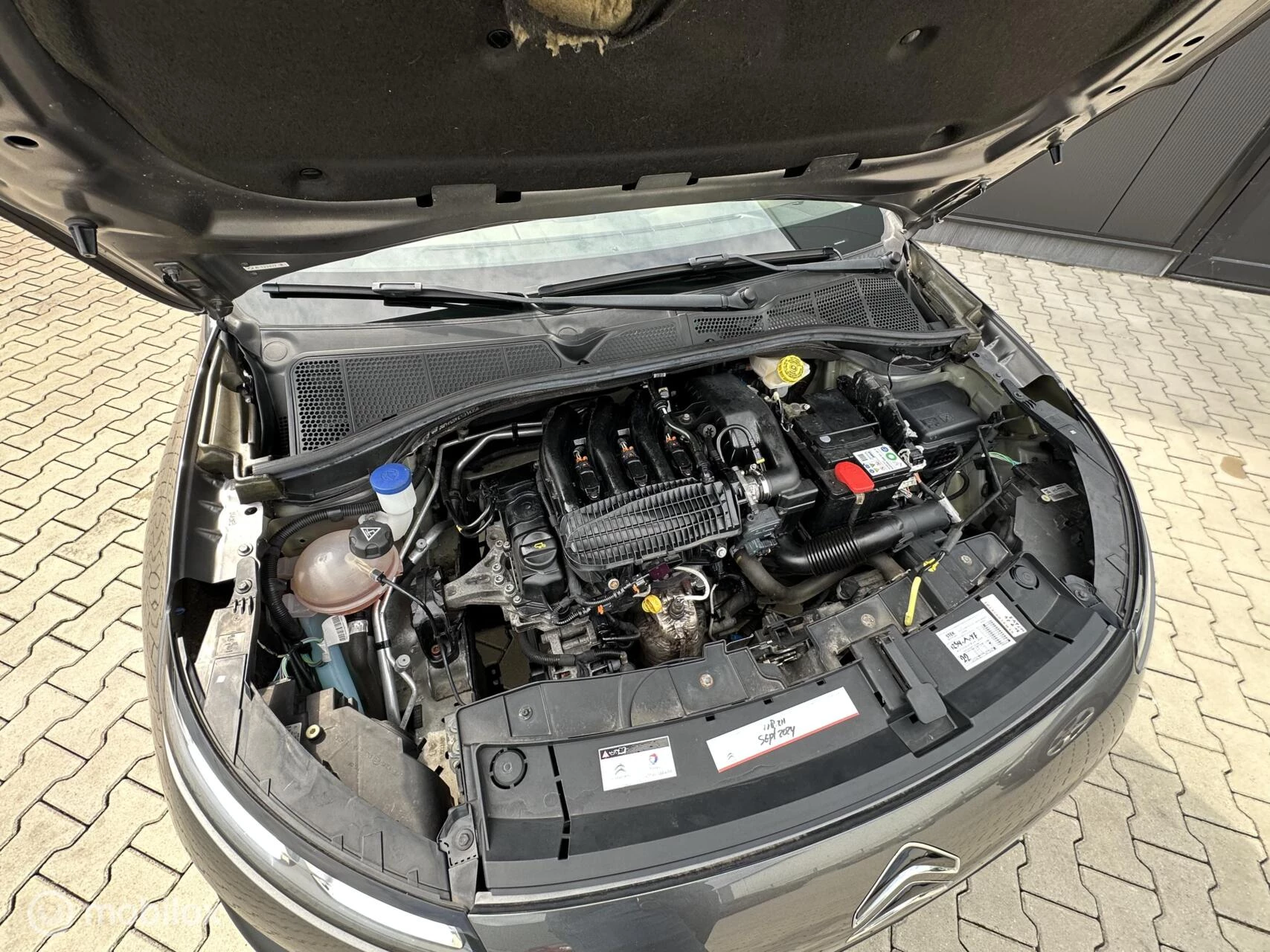 Hoofdafbeelding Citroën C4 Cactus
