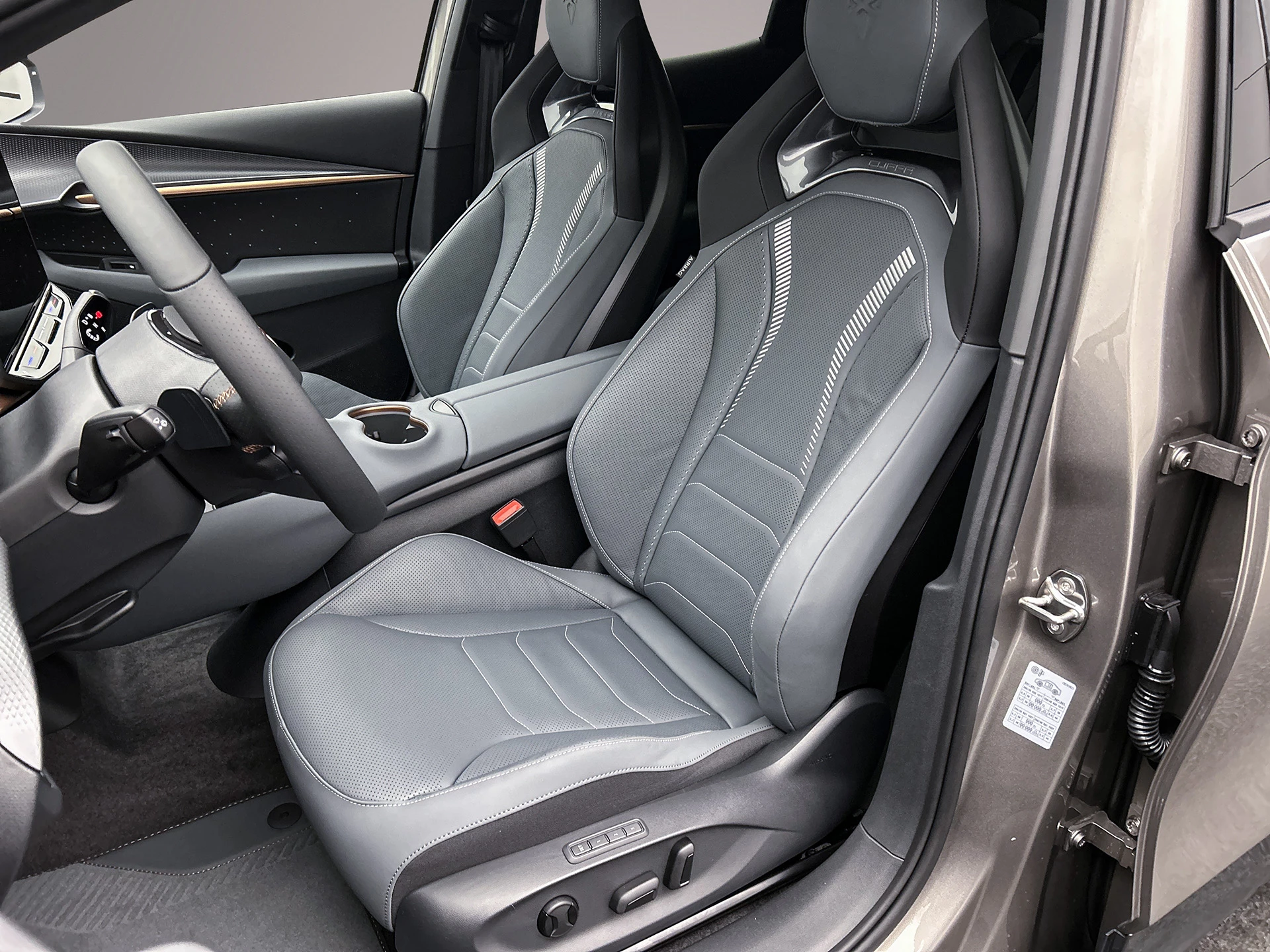 Hoofdafbeelding CUPRA Tavascan