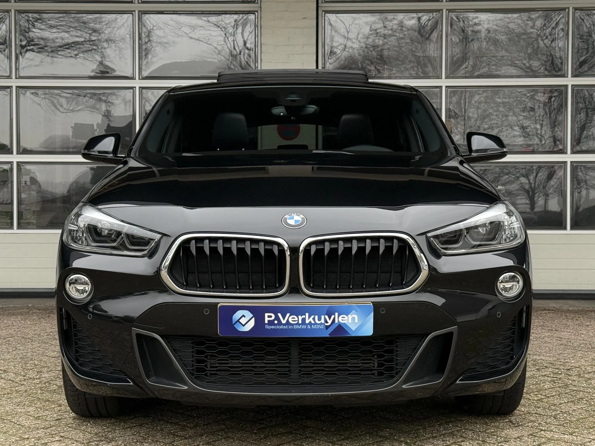 Hoofdafbeelding BMW X2
