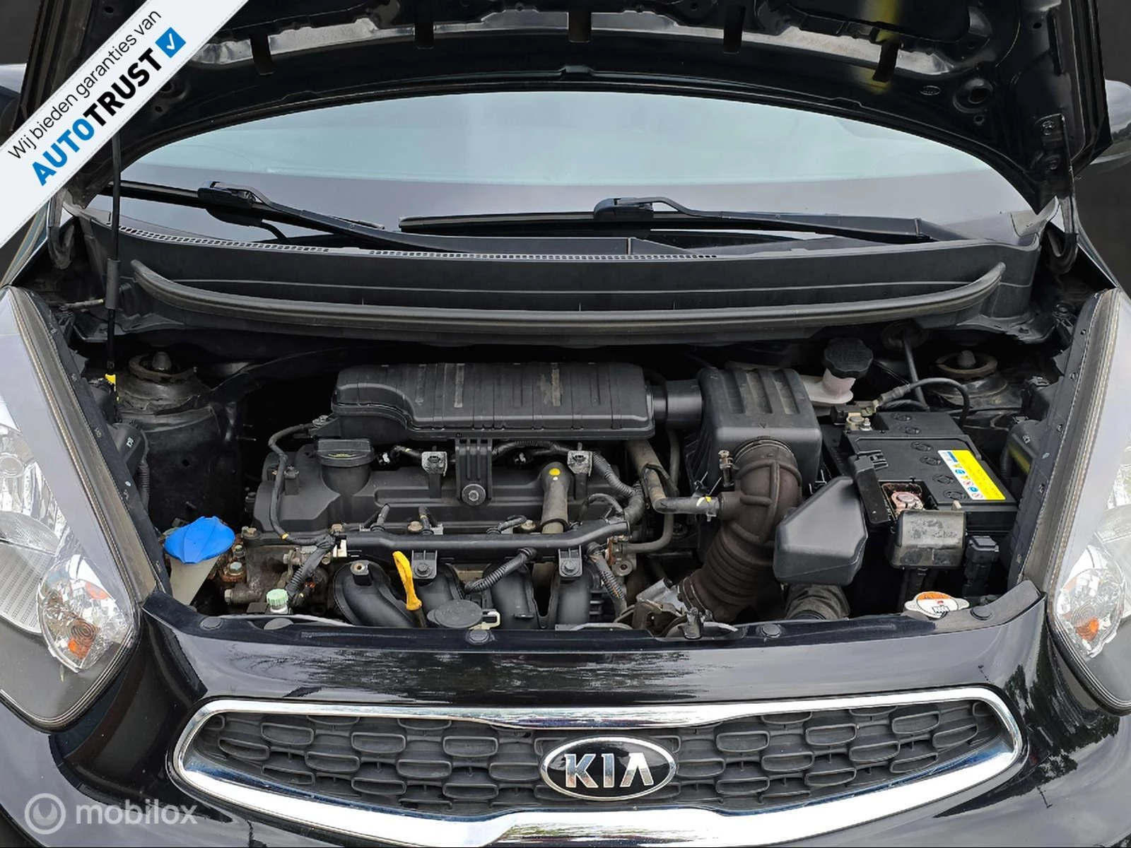 Hoofdafbeelding Kia Picanto