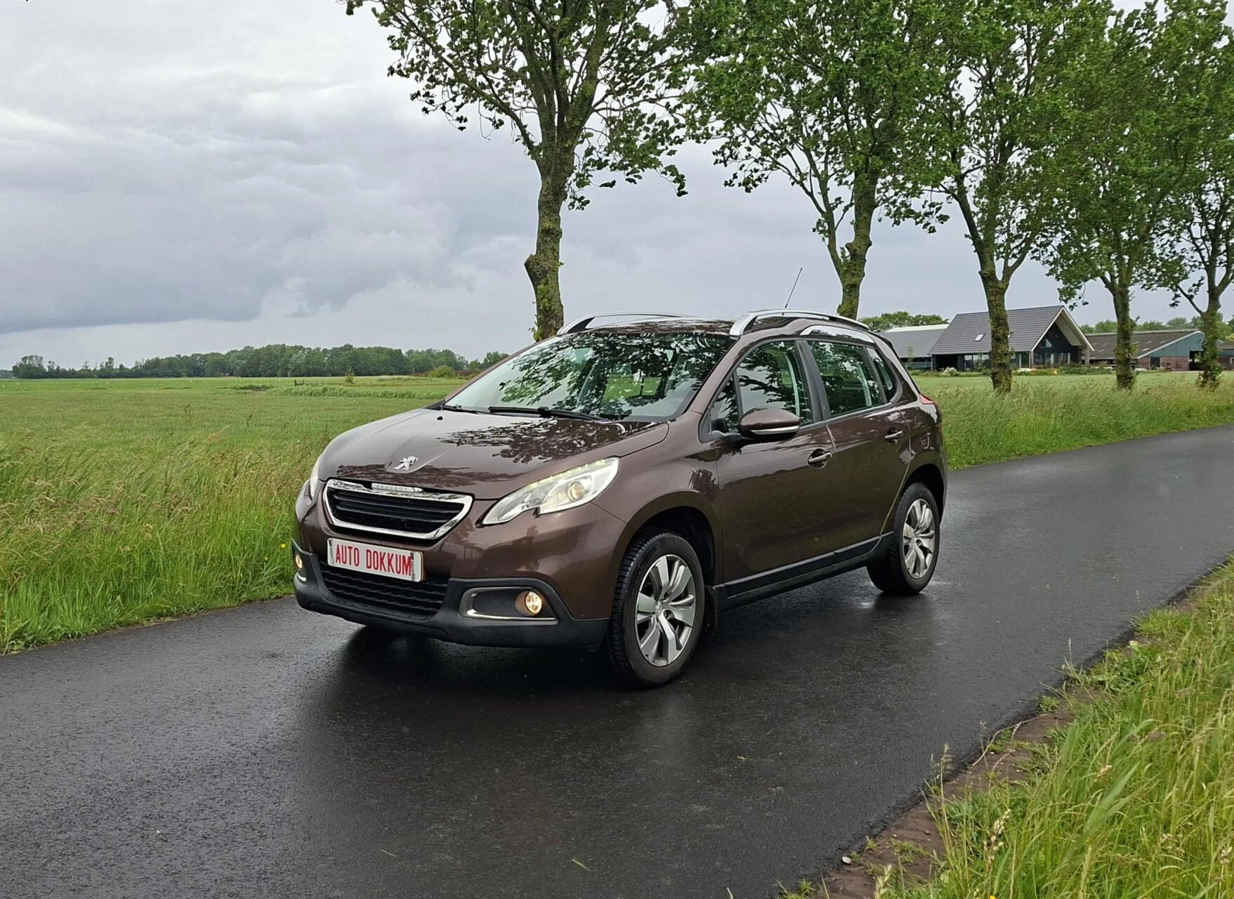 Hoofdafbeelding Peugeot 2008