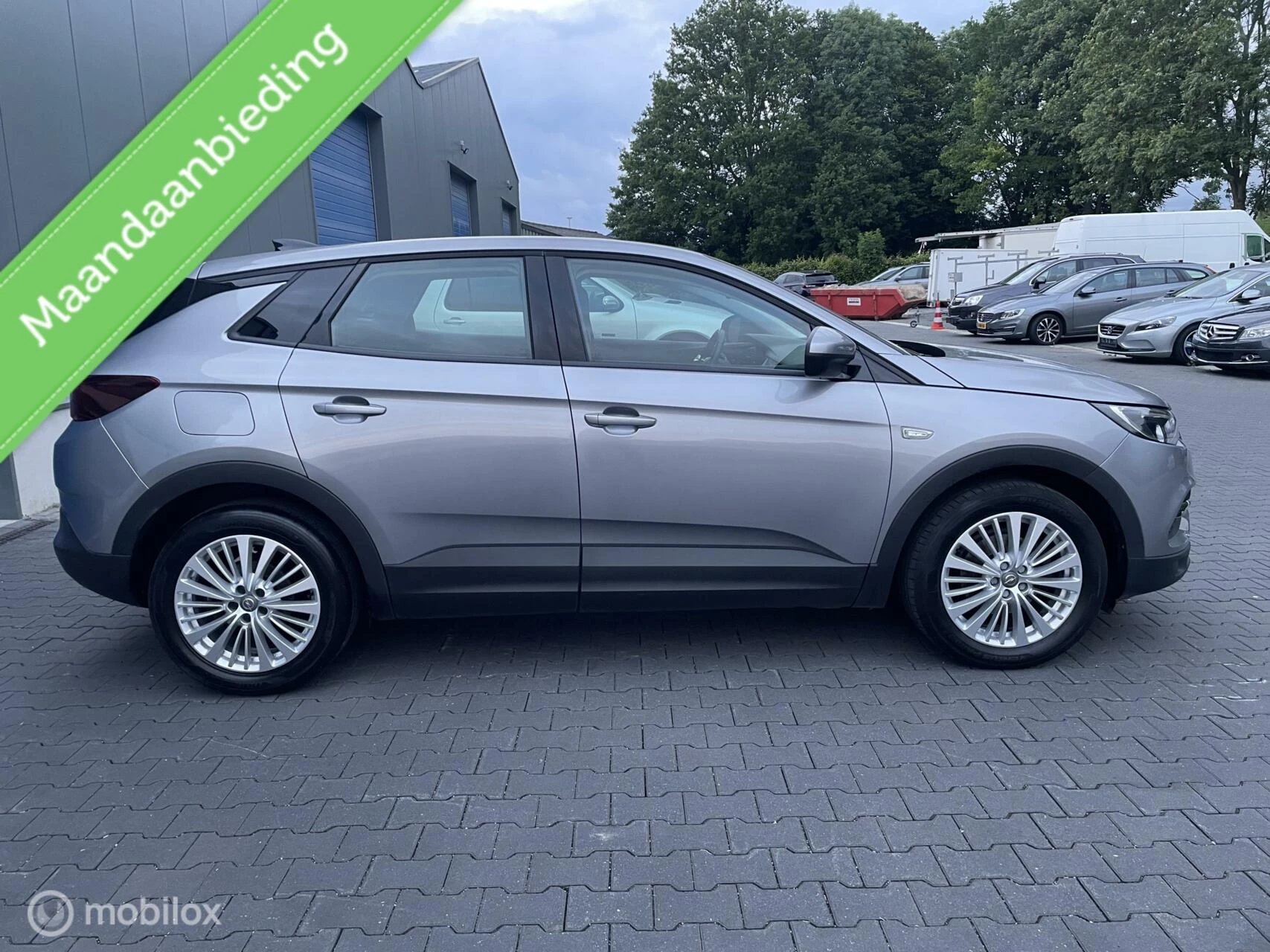 Hoofdafbeelding Opel Grandland X