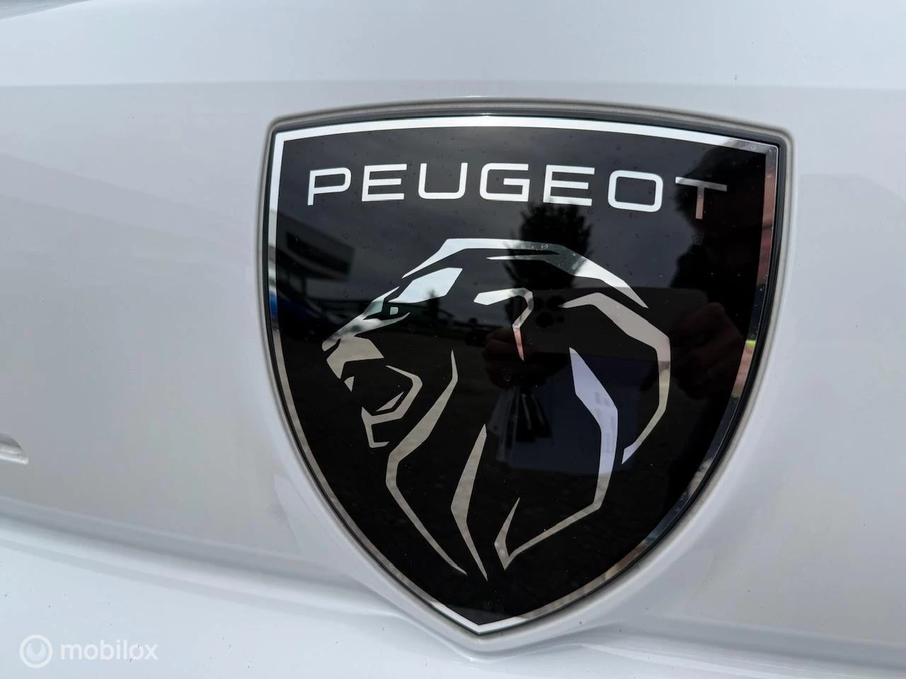 Hoofdafbeelding Peugeot Expert