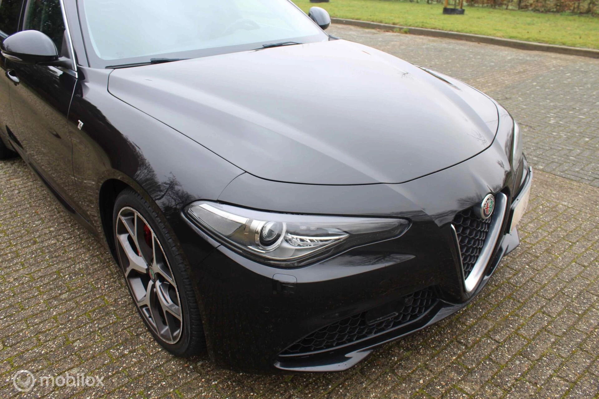 Hoofdafbeelding Alfa Romeo Giulia