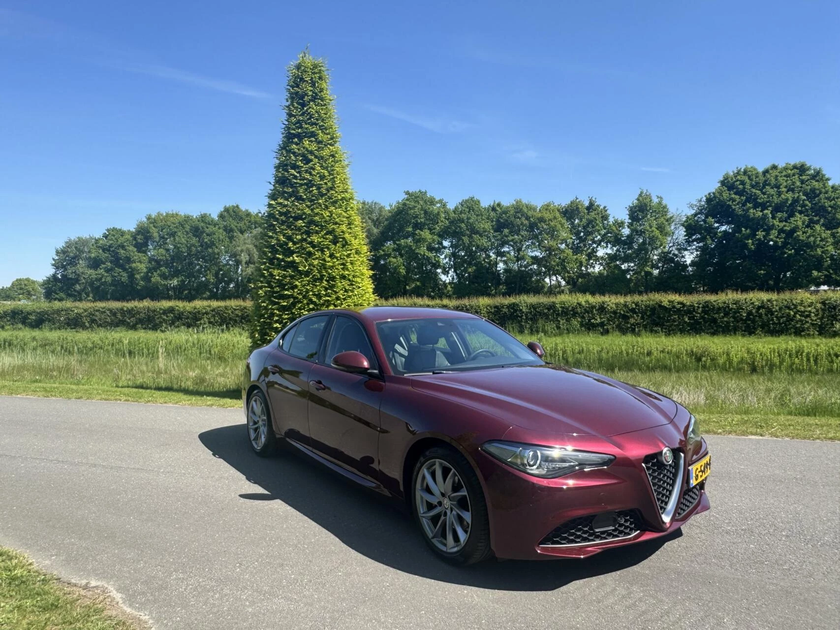 Hoofdafbeelding Alfa Romeo Giulia