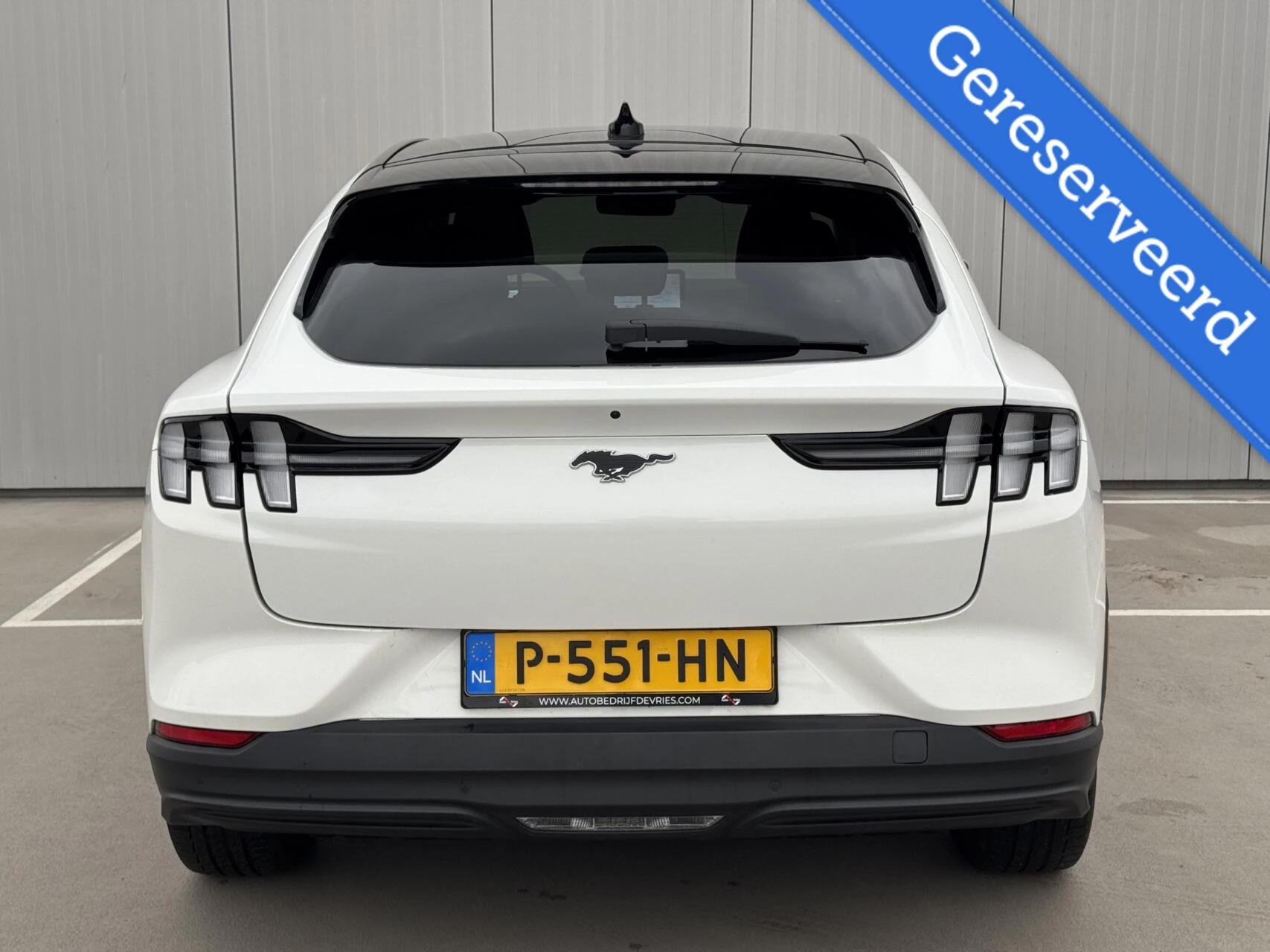 Hoofdafbeelding Ford Mustang Mach-E