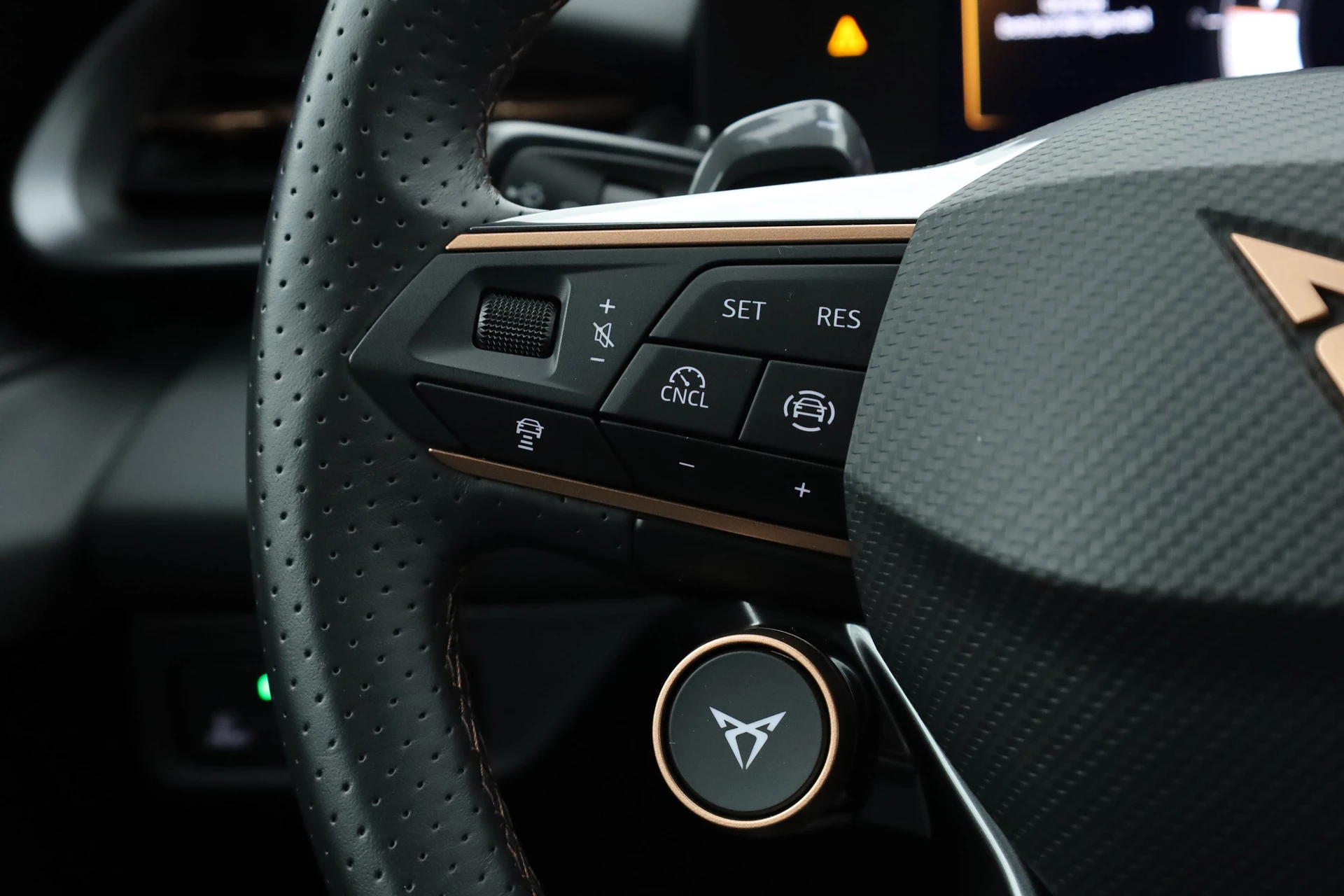 Hoofdafbeelding CUPRA Terramar