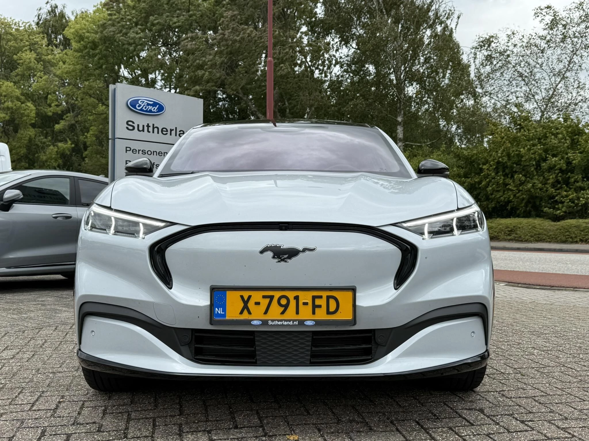 Hoofdafbeelding Ford Mustang Mach-E