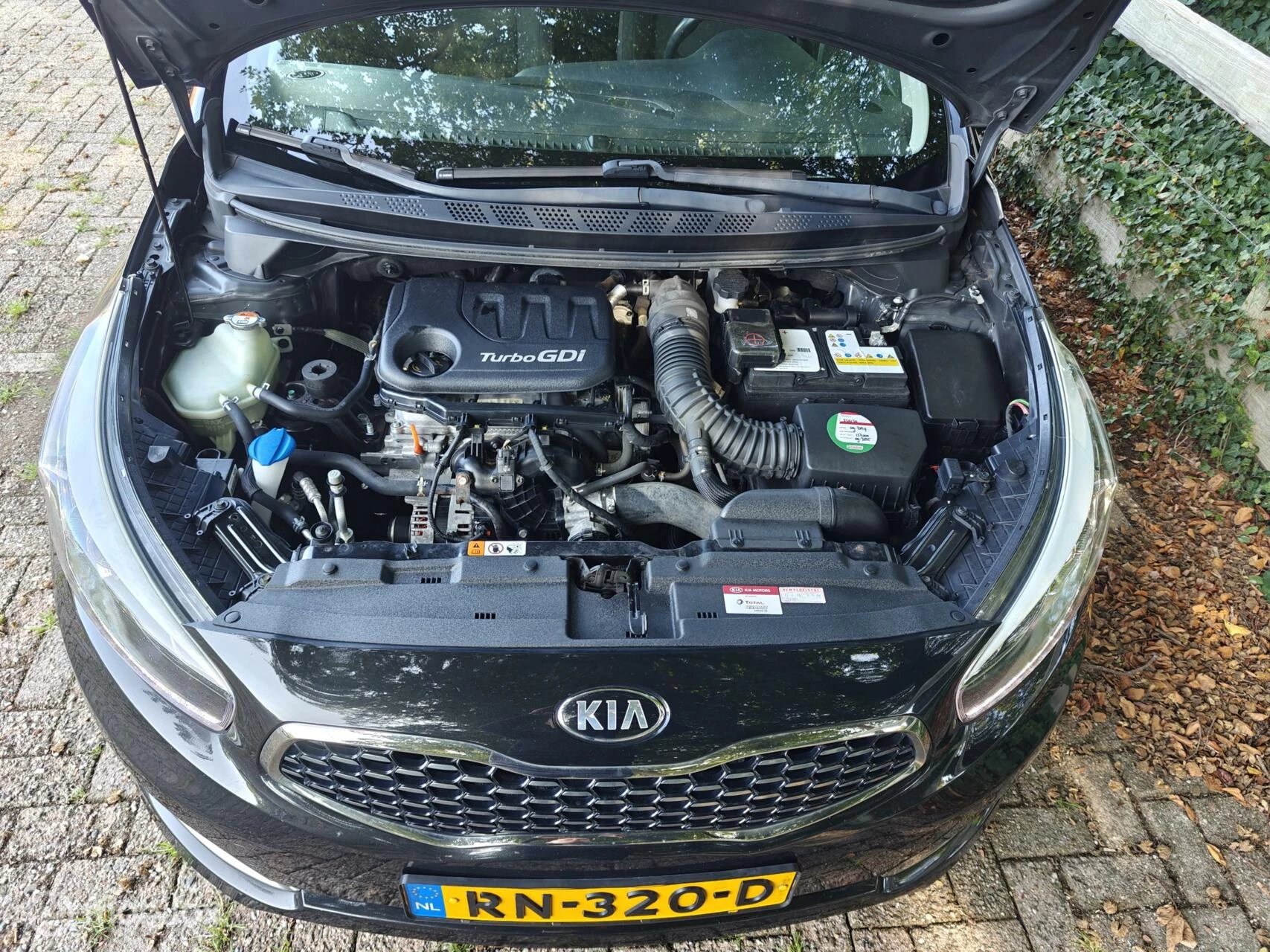 Hoofdafbeelding Kia cee'd