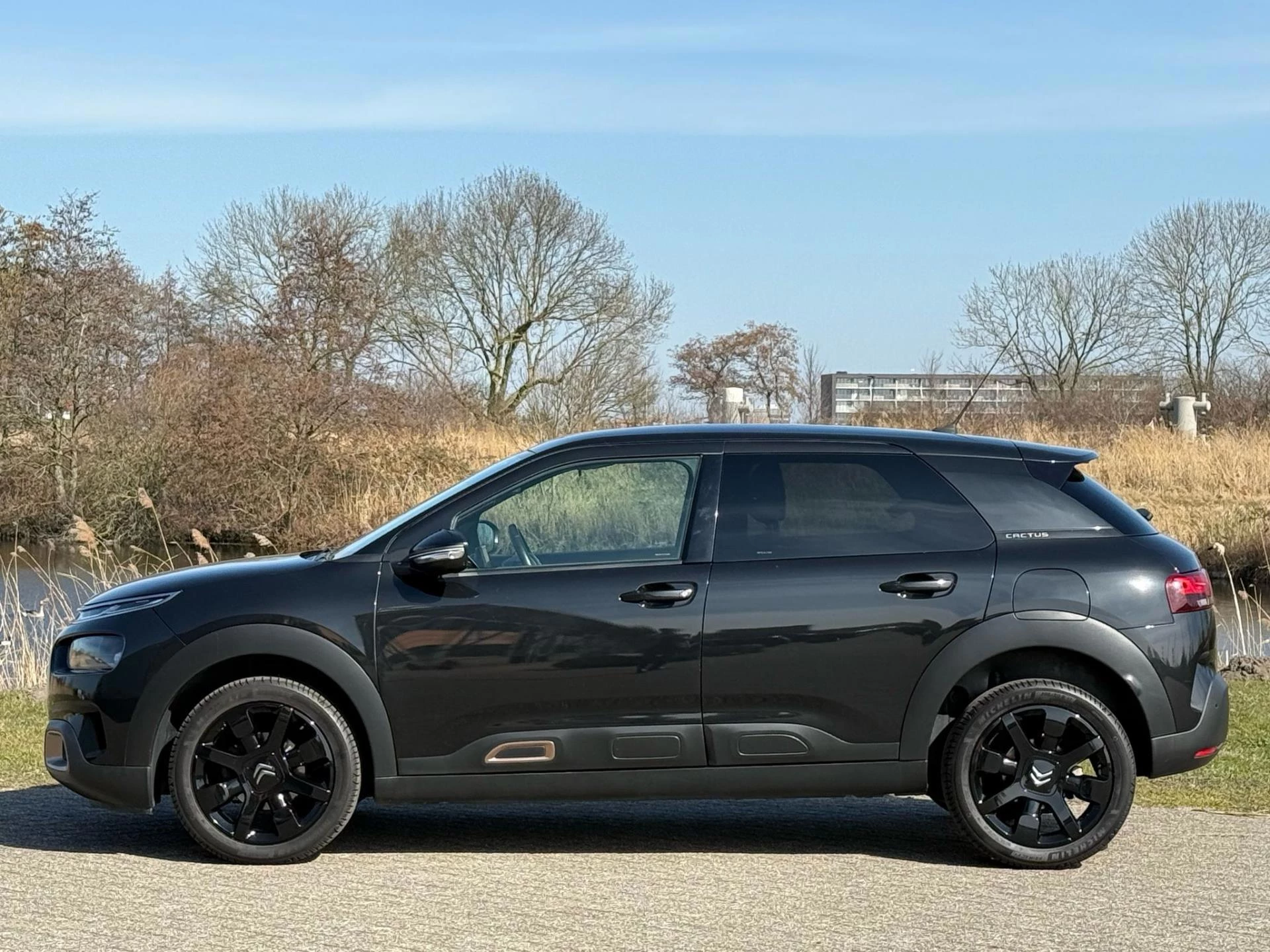 Hoofdafbeelding Citroën C4 Cactus