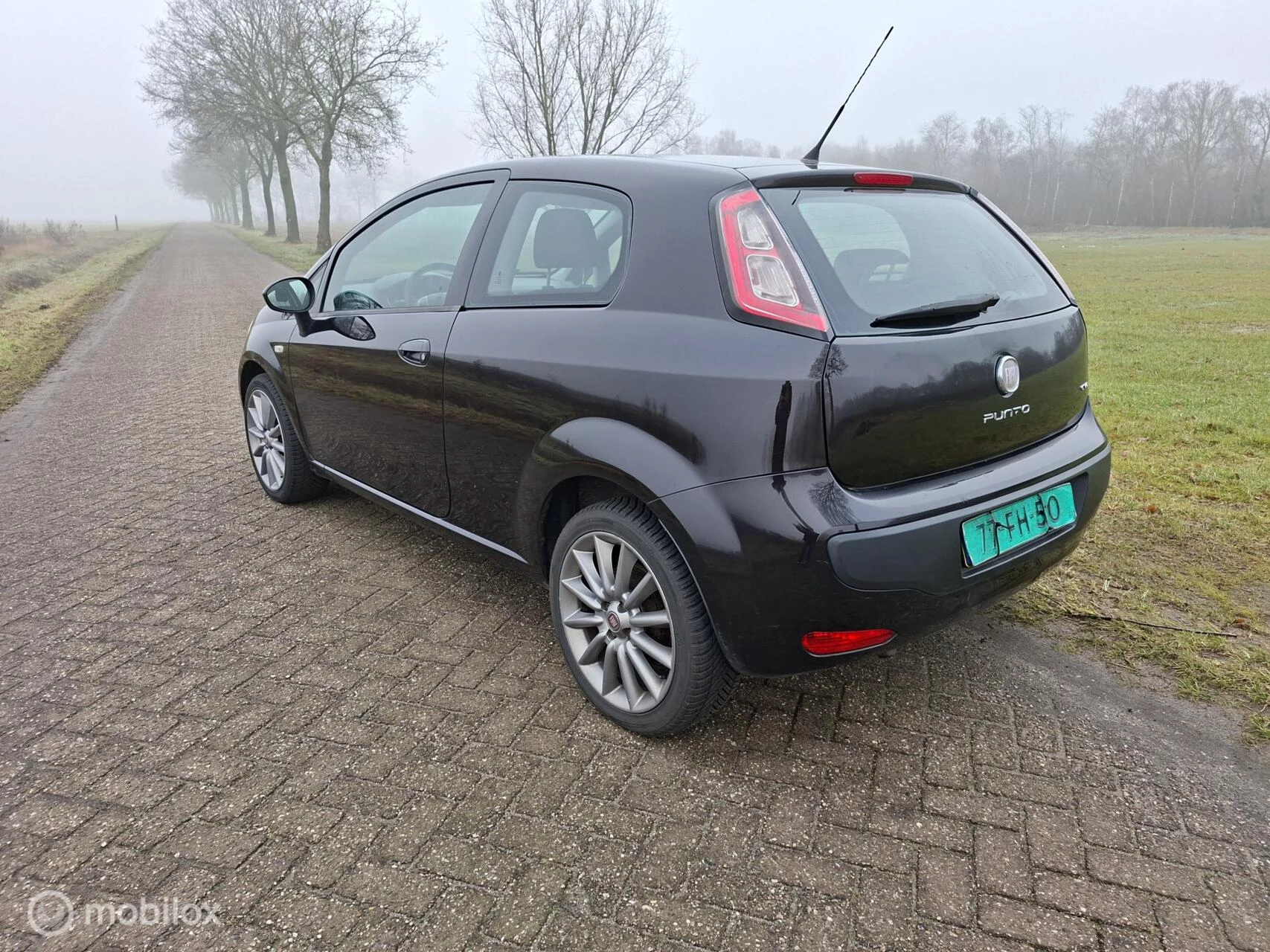 Hoofdafbeelding Fiat Punto