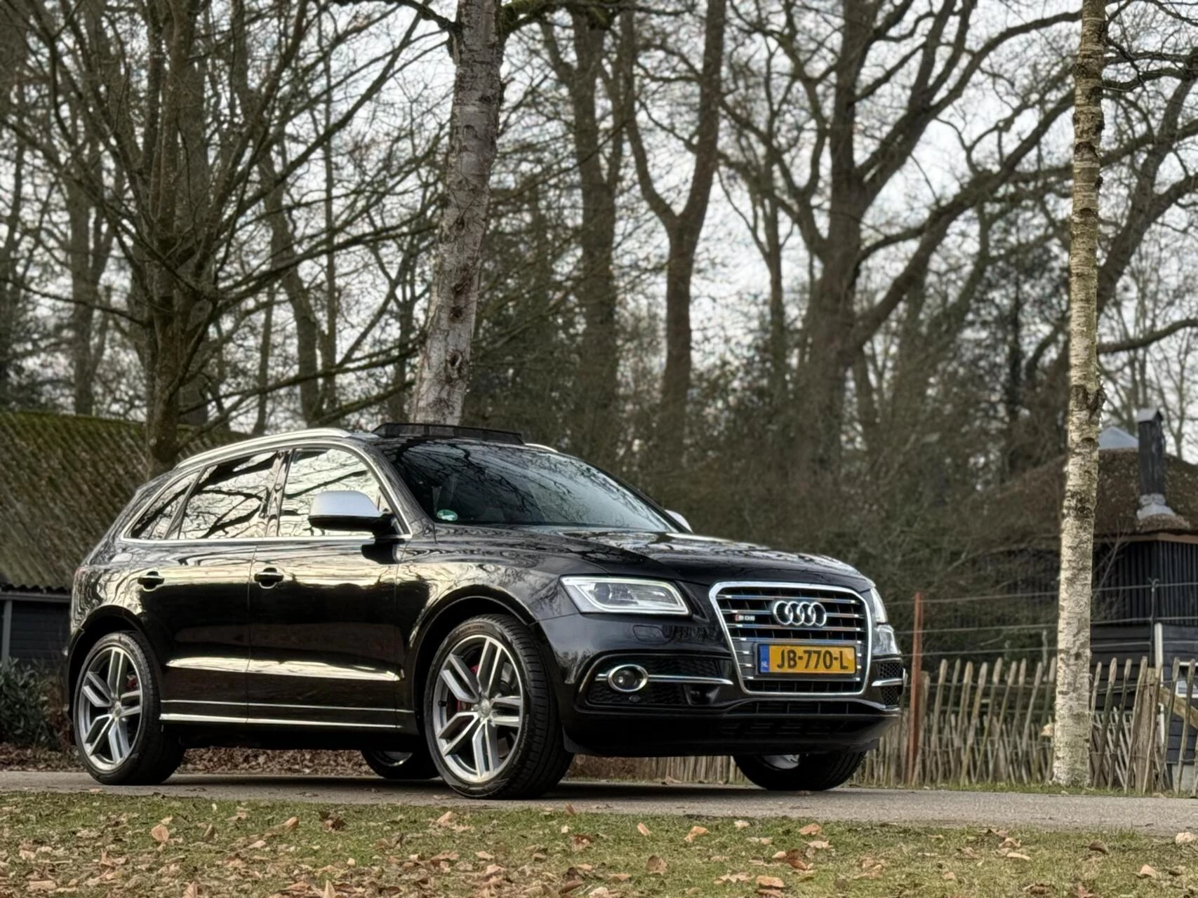Hoofdafbeelding Audi SQ5